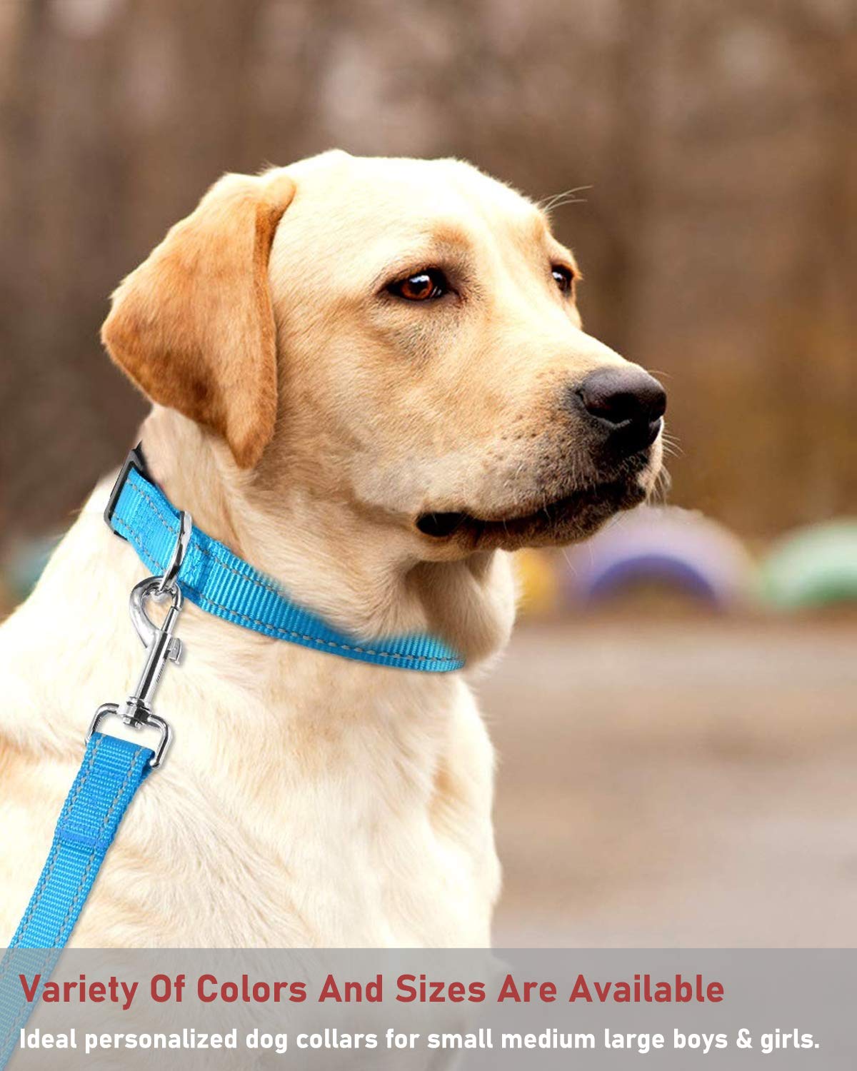 Reflective Dog Collar With Buckle Adjustable Safety Nylon Collars For Small Medium Large Dogs, Blue Xl