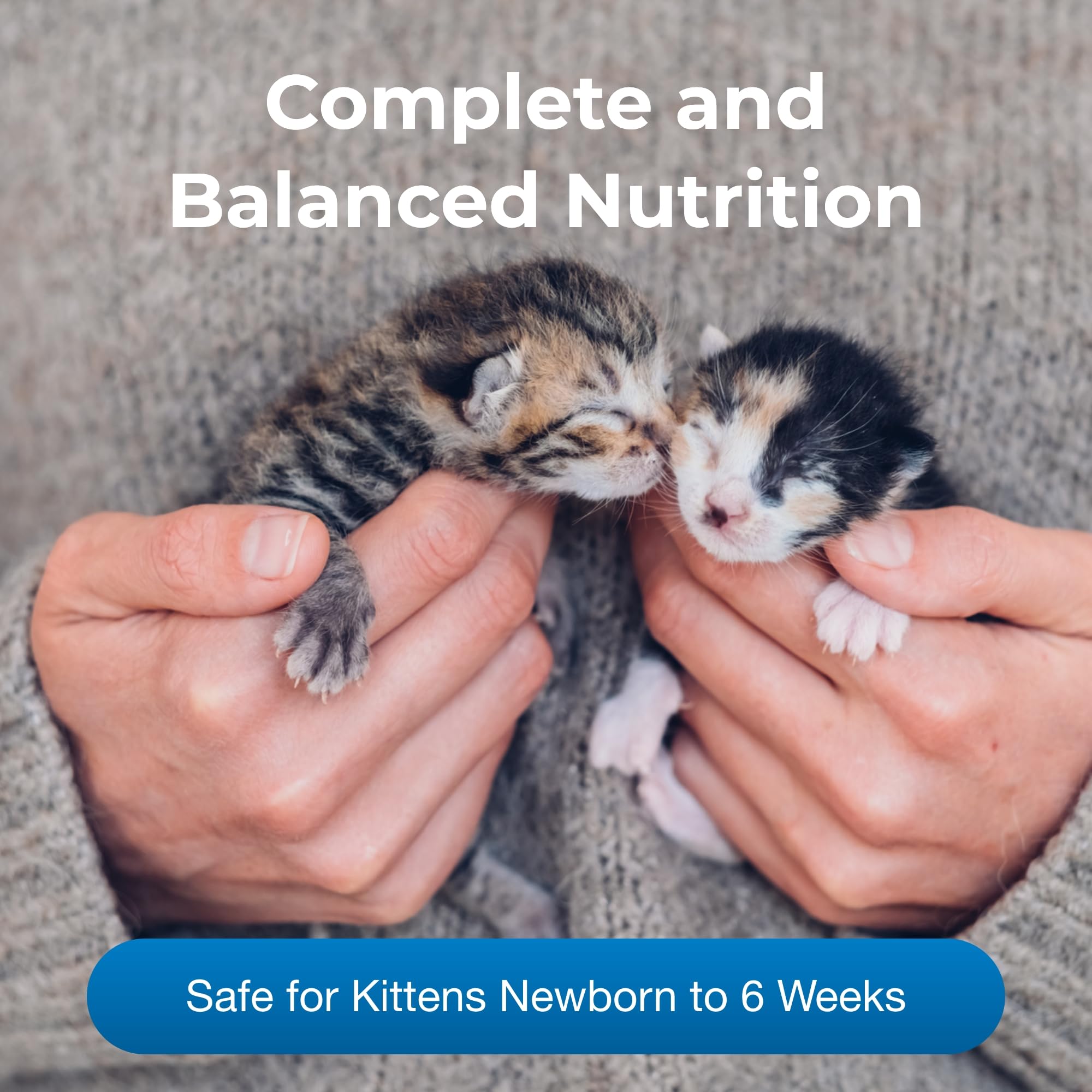 Pet-Ag KMR Kitten Milk Replacer Powder - 12 oz - Powdered Kitten Formula with Prebiotics, Probiotics & Vitamins for Kittens Newb