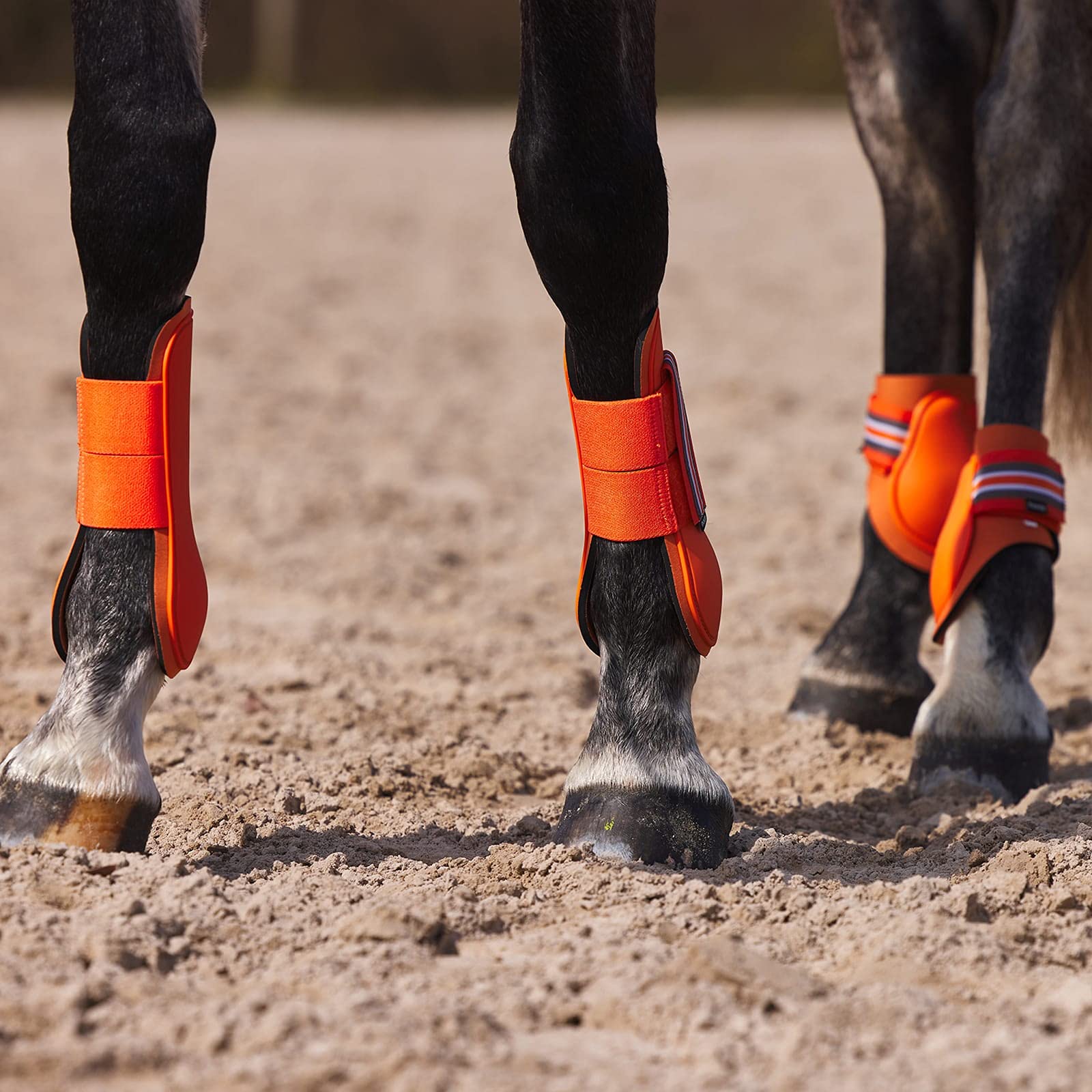 Horze Adepto Open Front Tendon Boots | Durable Shell With Neoprene Lining - Coral Gold - Pony