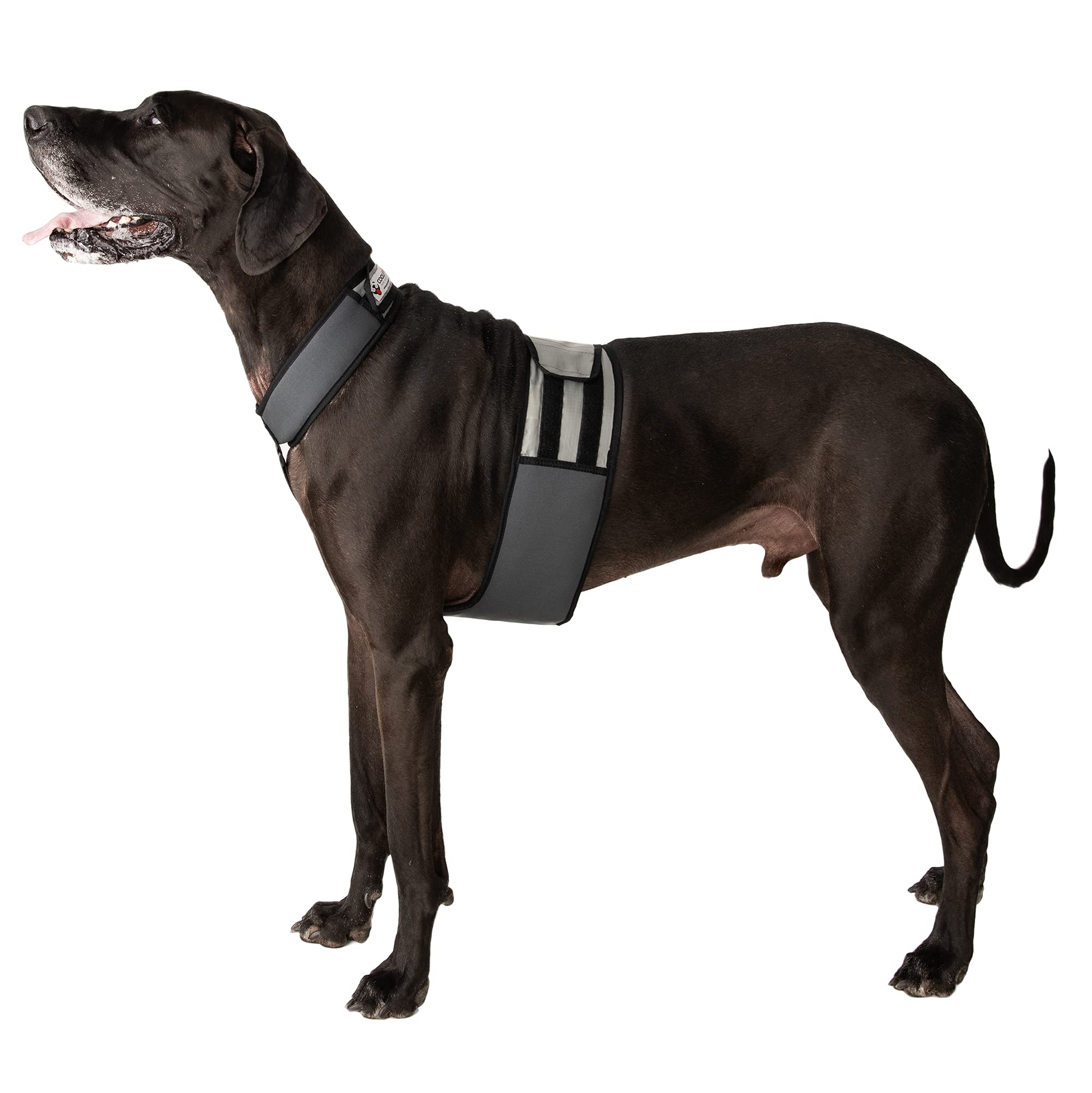 CoolerDog Dog Cooling Vest & Collar - Ice Vest for Dogs, XL, Nylon