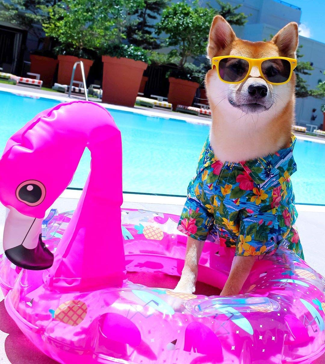 Parisian Pet Hawaiian Dog Shirt - Cotton Summer Clothes - Stylish Beach Outfit - Hook And Loop Closure - Machine Washable For Me
