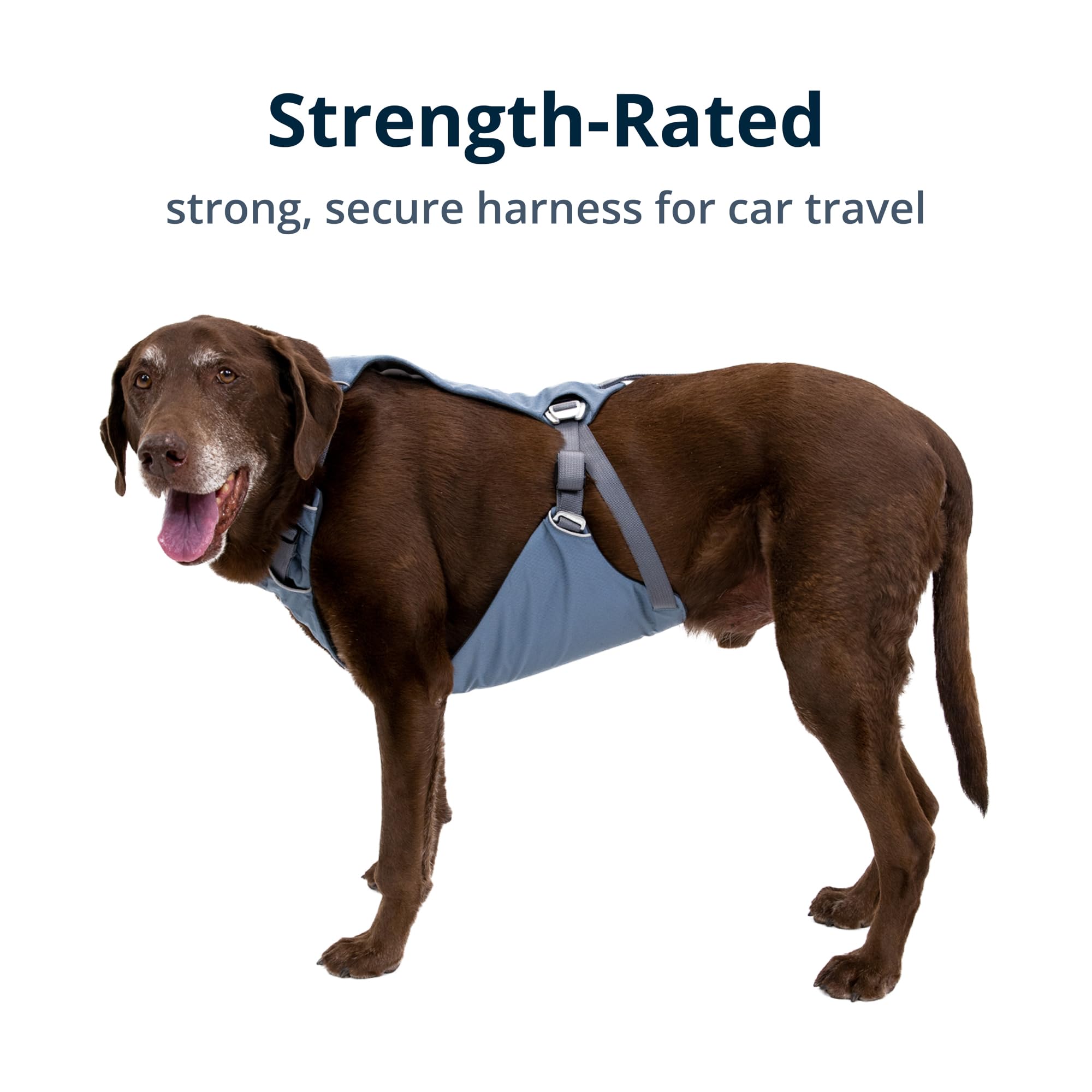Ruffwear, Load Up Dog Harness, Strength-Rated Car Safety Harness With Universal Seat Belt Attachment, Slate Blue, Xx-Small