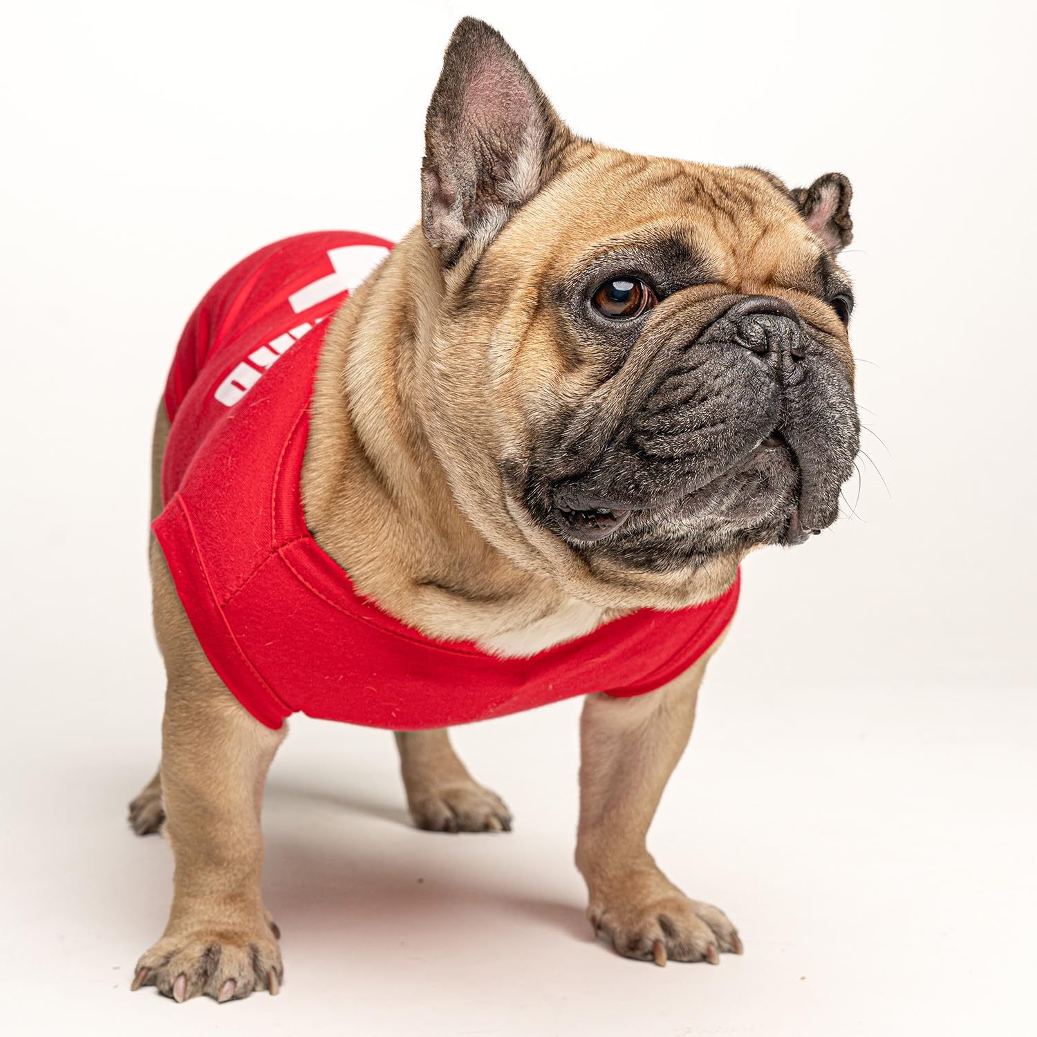 Lifeguard Dog Tee Shirt Sizes For Puppies, Toys, And Large Breeds (53 Red, X-Large)
