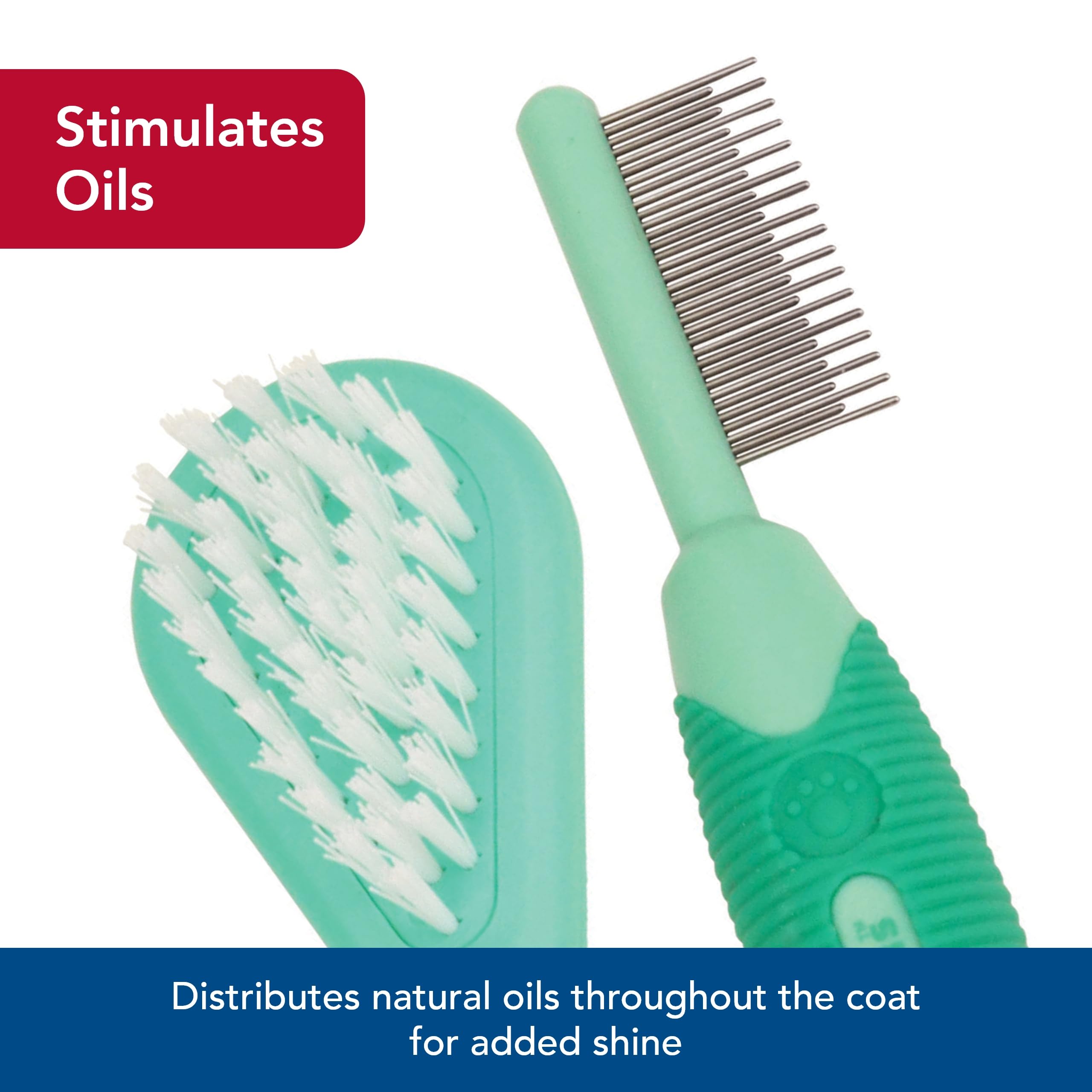 Coastal - Li'l Pals - Dog Bristle Brush and Shedding Comb