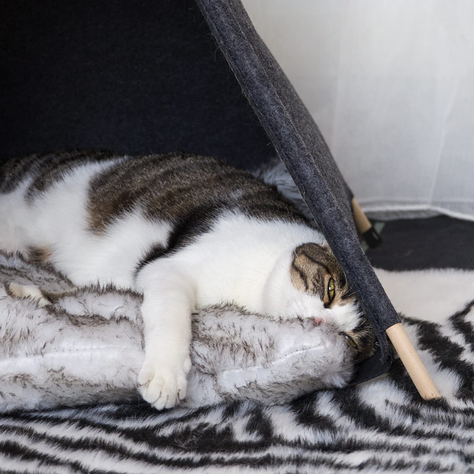 Qucey Pet Teepee Tent For Cats And Small Dogs - Cozy Portable Cat Dog House With Thick Cushion Washable For Indoor Outdoor Use
