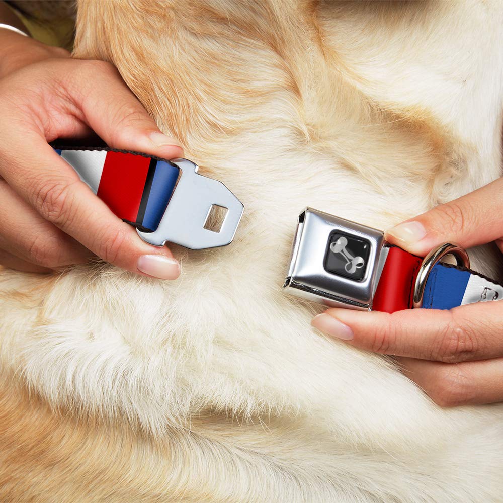 Buckle-Down Seatbelt Buckle Dog Collar - France Flags - 1.5 Wide - Fits 13-18 Neck - Small
