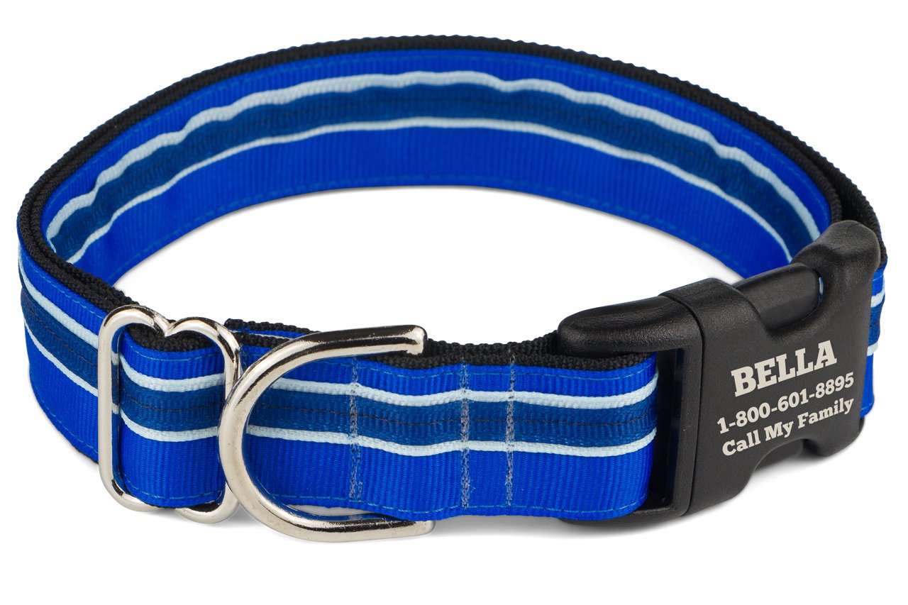 If It Barks Personalized 1 Striped Dog Collar - Engraved Name - Custom Size, Blueberry