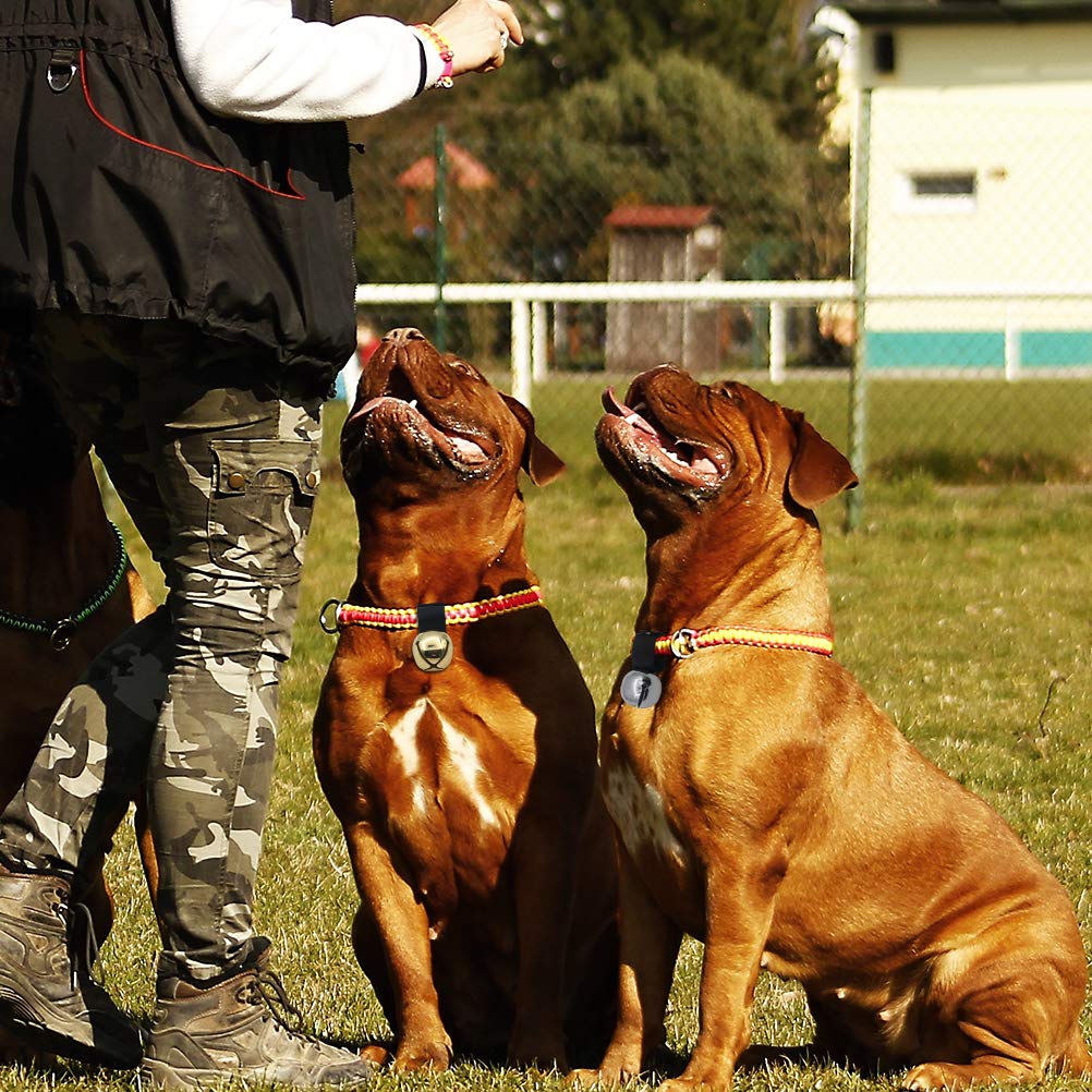 SCENEREAL Large Dog Collar Bell - 1.5" Extra Loud Metal Dog Bell - Gold/Silver - 2 Pack for Training, Hiking, Walking, Hunting