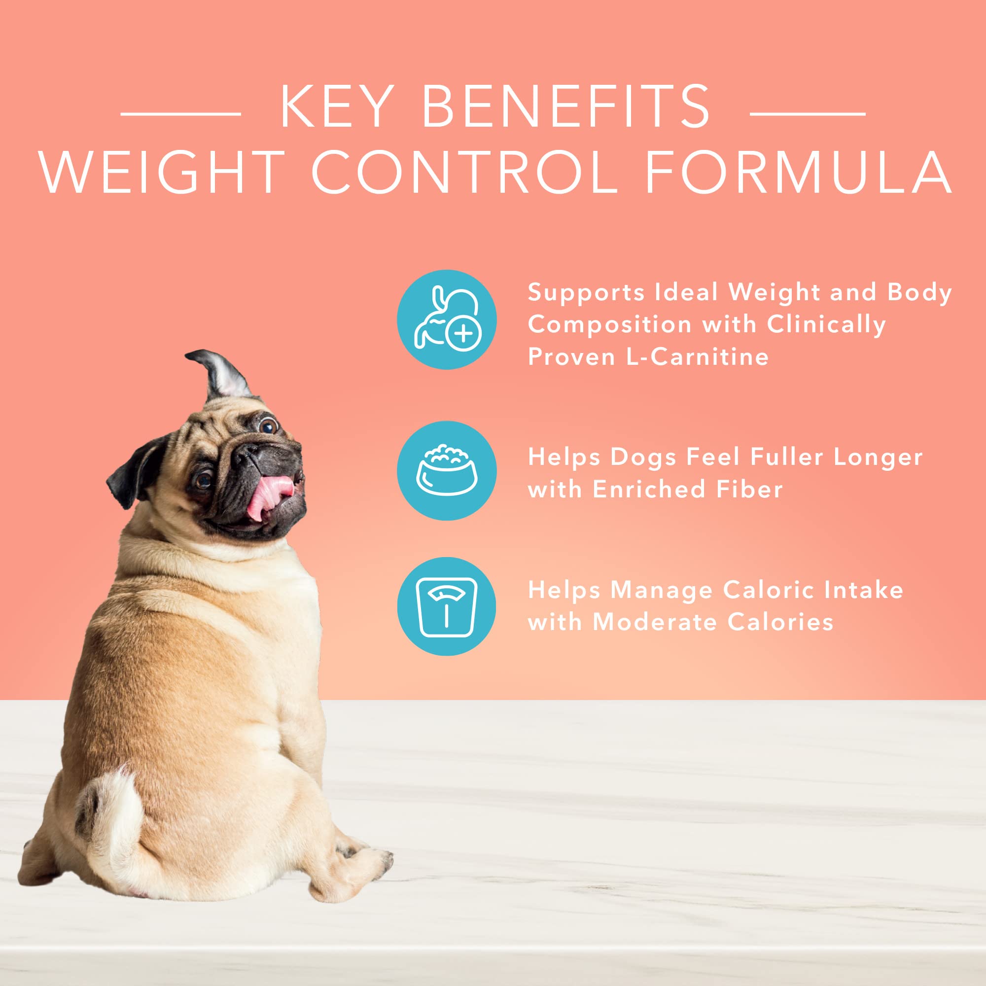 Blue Buffalo True Solutions Weight Control Wet Dog Food for Adult Dogs, Made with Natural Ingredients, Chicken, 12.5-oz. Cans (1