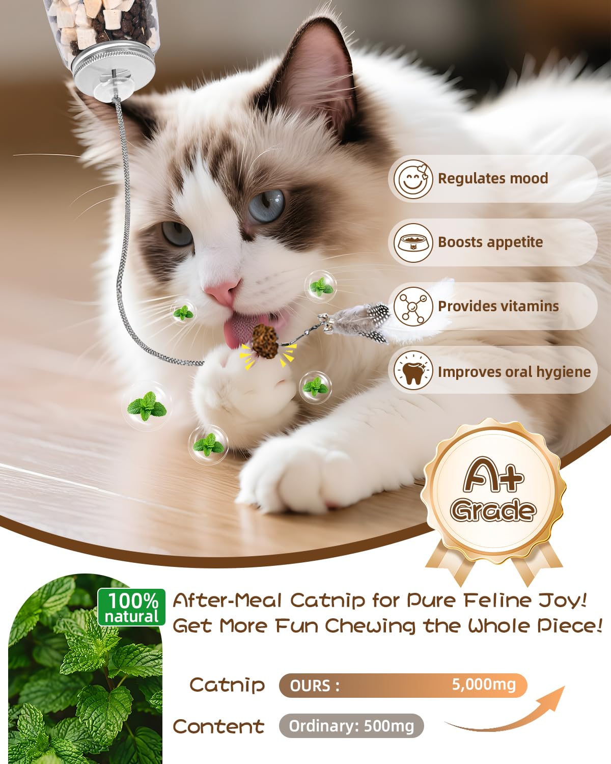 TXRRURE Interactive Cat Treat Dispenser Toy, Hanging Puzzle Toy for Slow Feeding & Cat Weight Loss, with Feather Teaser, Enrichm