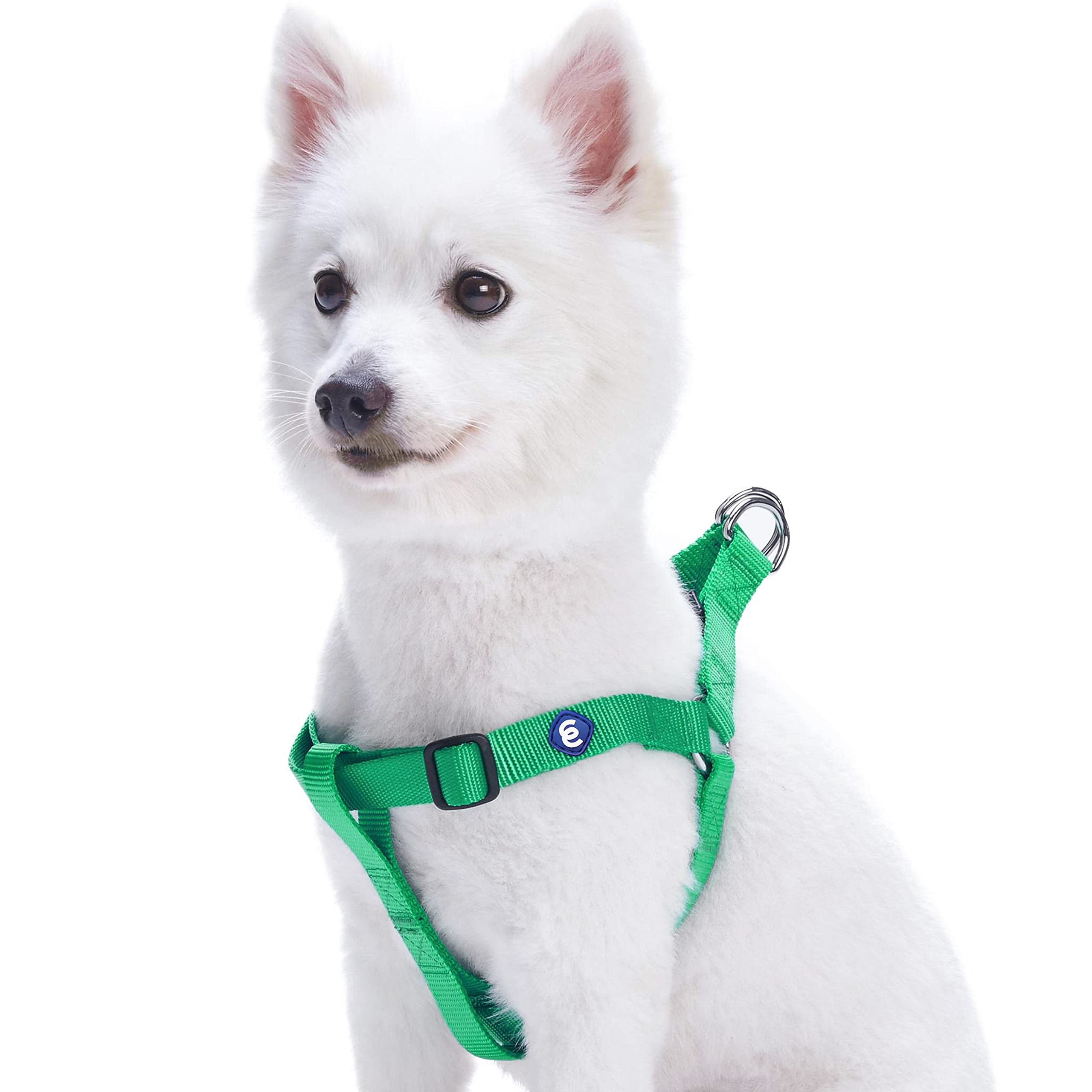Blueberry Pet Essentials Classic Durable Solid Nylon Step-In Dog Harness, Chest Girth 20' - 26', Emerald, Medium, Adjustable Harnesses For Puppy Boy Girl Dogs