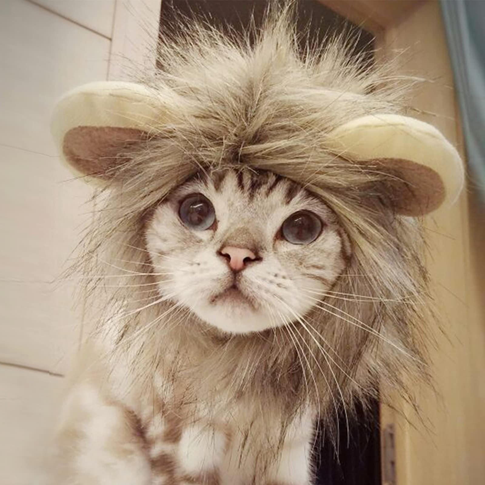 Namsan Pet Halloween Costume Cat Lion Mane Wig Halloween Outfit Small Dog Lion Hat