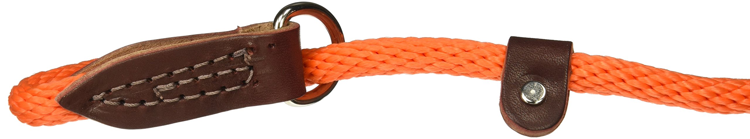 OmniPet Rope Slip Lead for Dogs, 4ft, Orange, Durable Nylon Training Leash, Model 3603-5, Comfortable for Obedience and Handling