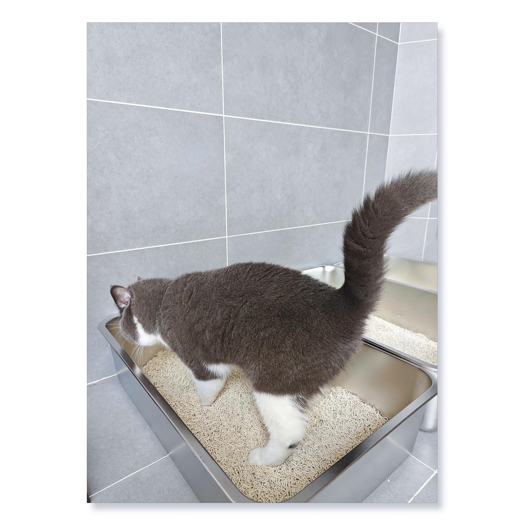 IKITCHEN Stainless Steel Cat Litter Box - Large Non-Stick Pan, Easy Clean, Low Side Entry, 17.5" x 13.5", Durable Odor-Resistant Design