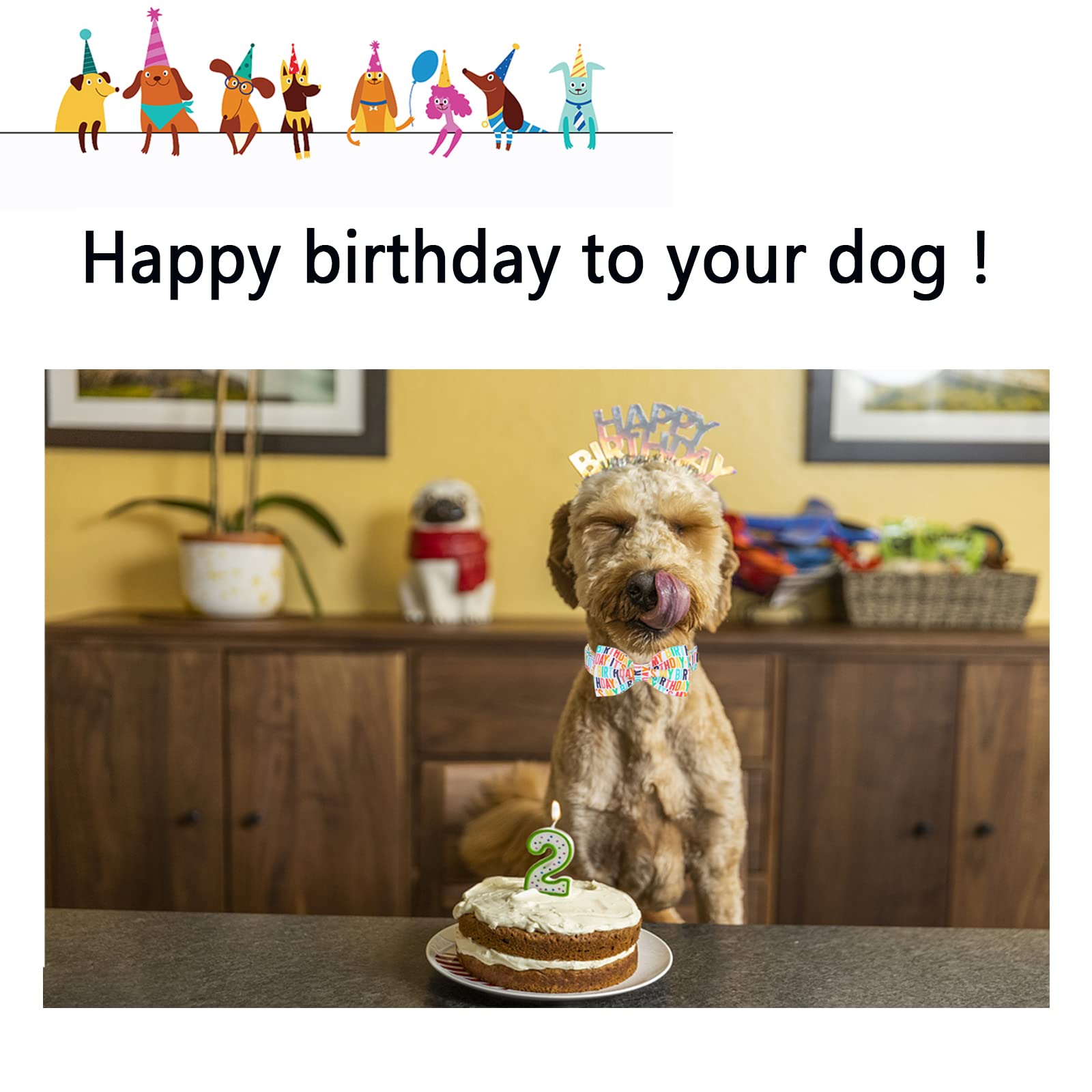 Unqiue Style Paws Birthday Dog Collar, Soft And Cute Dog Bow Tie, Durable Pet Collar With Bow Adjustable Bow Dog Collar For Medium Dogs