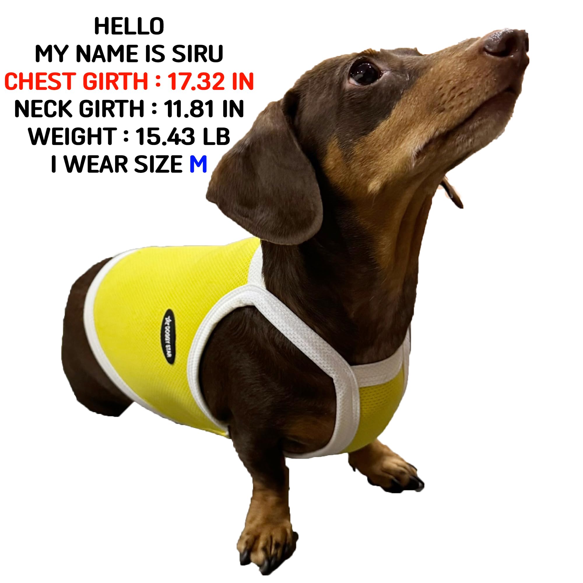 D Doggy Star Dachshund Clothes Spring Summer Cooling String T Shirt Crop Top For Dogs (S,Camisole Yellow)