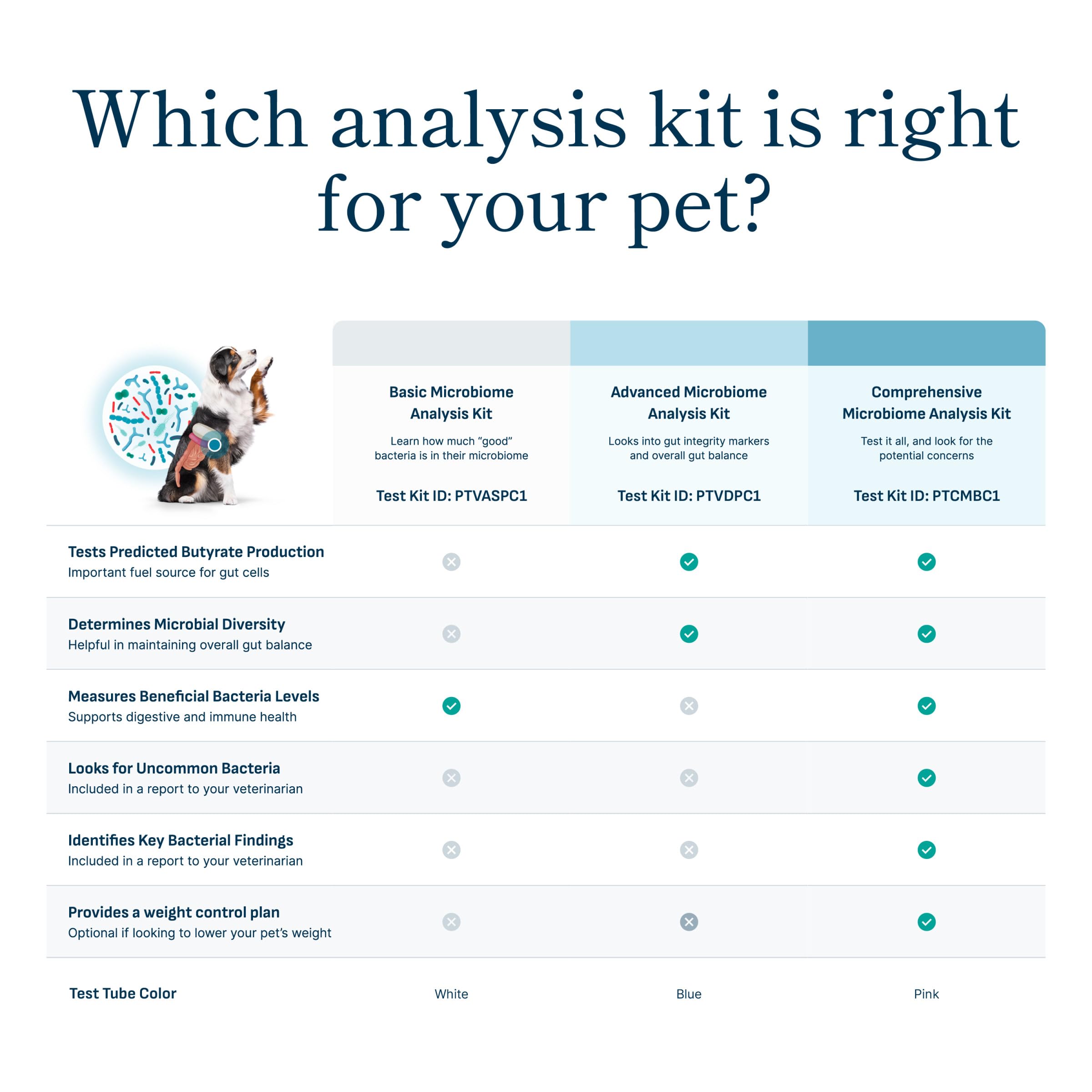 Petivity Microbiome Analysis Kit - Basic for Cats and Dogs, Powered by Purina - 4.8 oz. Box