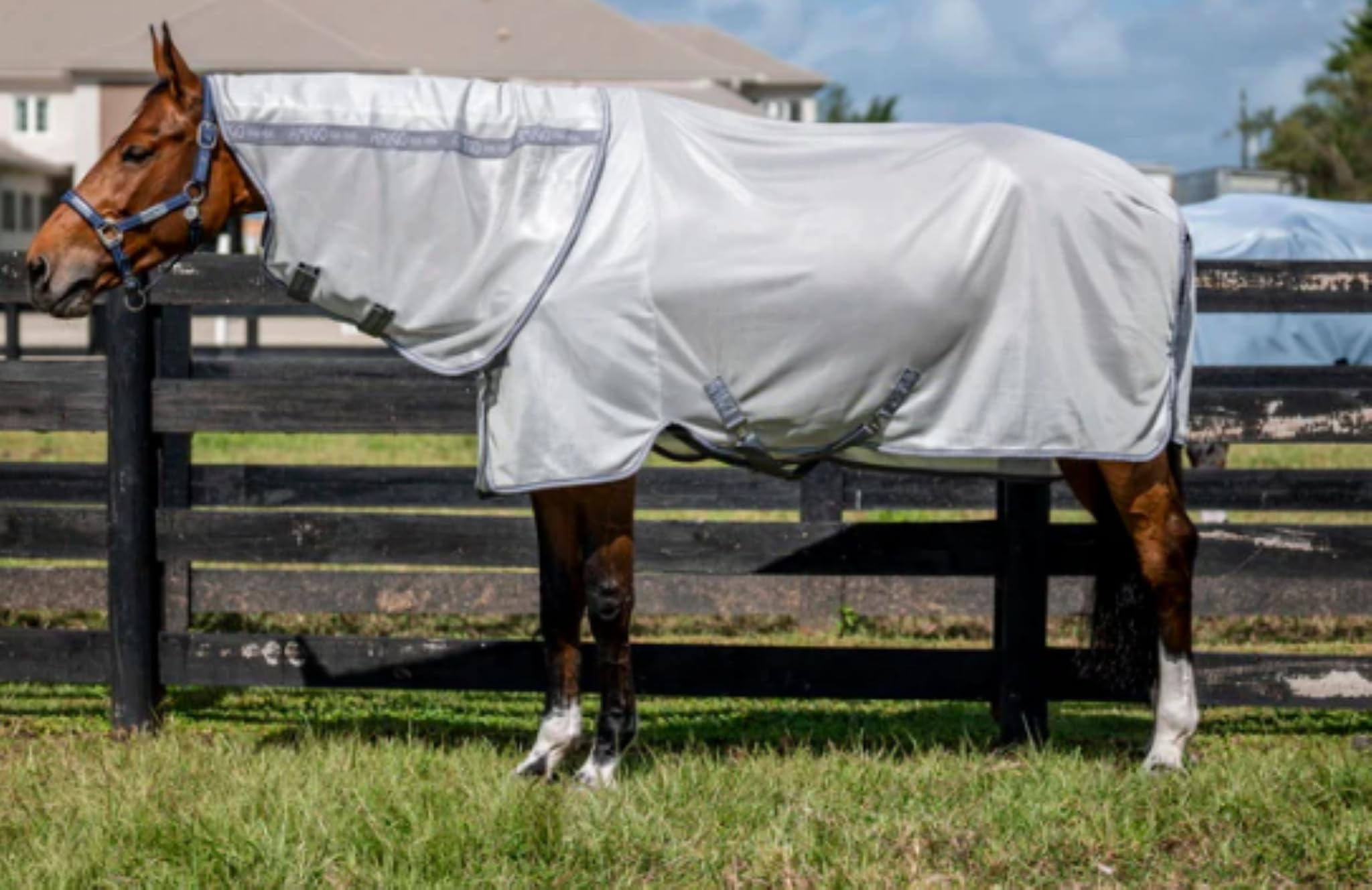 Horseware Amigo Integrated Fly Sheet - Silver/Titanium Grey & Silver, 72