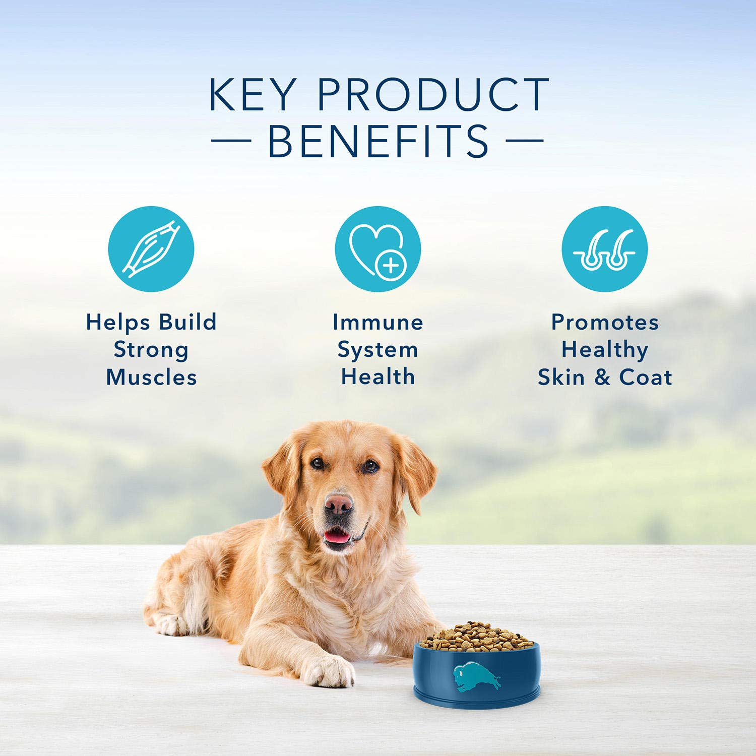 Blue Buffalo Life Protection Formula Natural Adult Dry Dog Food, Chicken & Brown Rice (38 Lbs.), 38 Lb