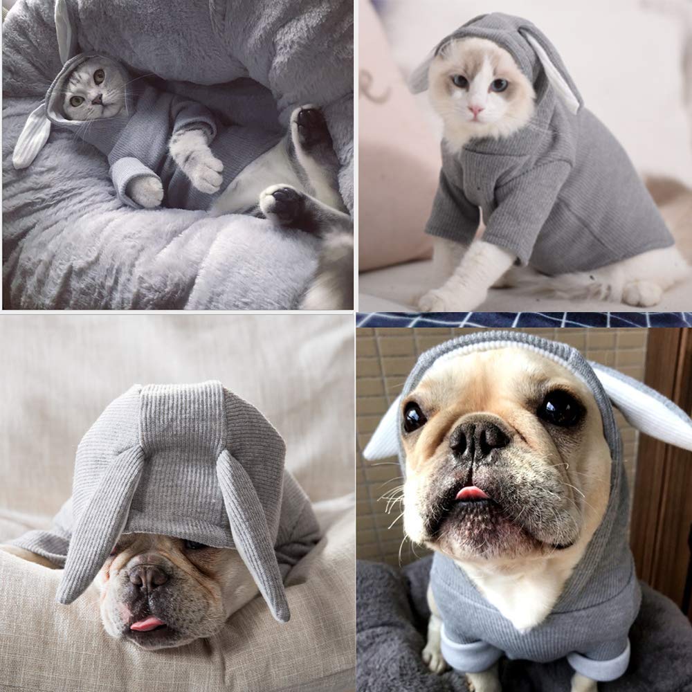 Aniac Pet Hoodie Cat Rabbit Outfit With Bunny Ears Cute Sweatshirt Spring And Autumn Puppy Knitted Sweater Kitty Soft Knitwear (Medium, Grey)