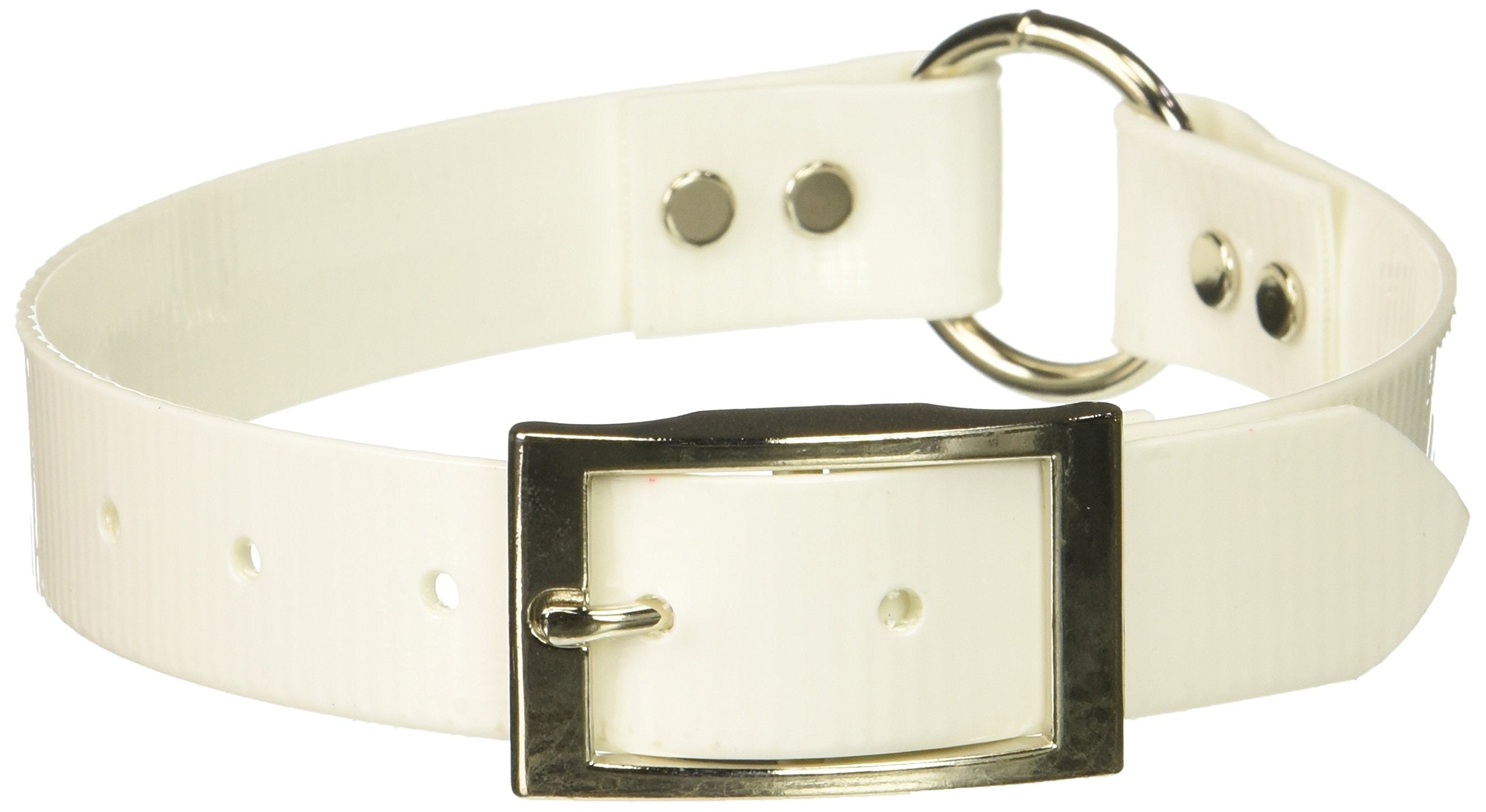 Omnipet Sunglo Ring-In-Center Dog Collar, 1' Wide, White, Fits 16'- 19.5' Neck Sizes, Vibrant Colors & Tough Construction For