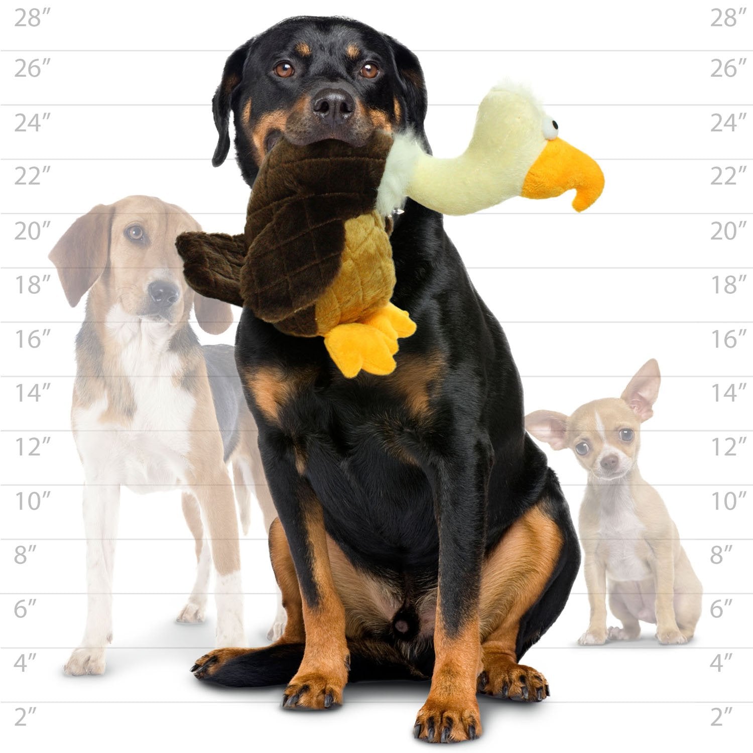 Mighty- Safari Vulture - Squeaker-Multiple Layers. Made Durable, Strong & Tough. Interactive Play Dog Toy (Tug, Toss & Fetch). M