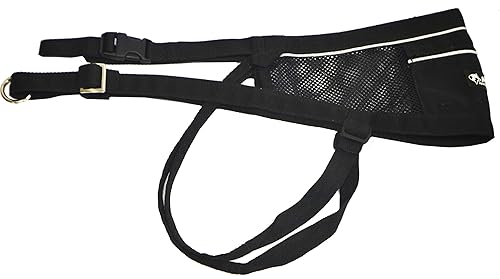 Neewa Canicross & Skijoring Belt To Run Or Walk With Your Dog With Dog Running Leash Hands Free 2 Dogs Or One, Dog Walking Belt For Multiple Dogs (One-Size-Fits-All, Black)