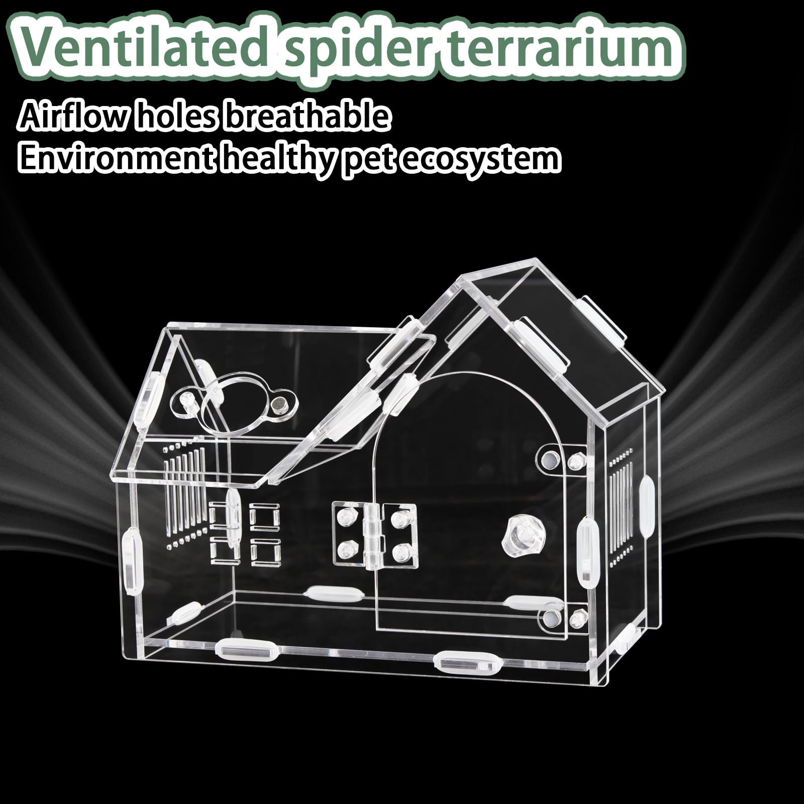 Acrylic Jumping Spider Enclosure with Magnetic Door - Transparent Tarantula Terrarium for Pet Spiders - Secure & Ventilated Rept