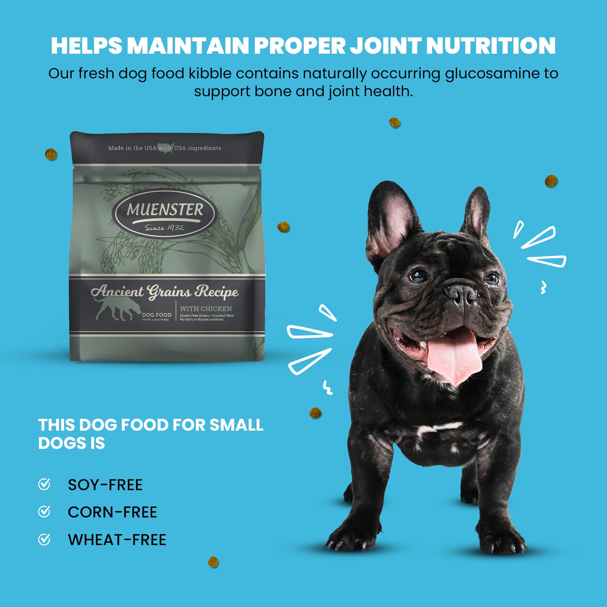 Muenster Ancient Grains Chicken Dry Dog Food, 4lb - Gluten-Free, High Protein, Digestive Support