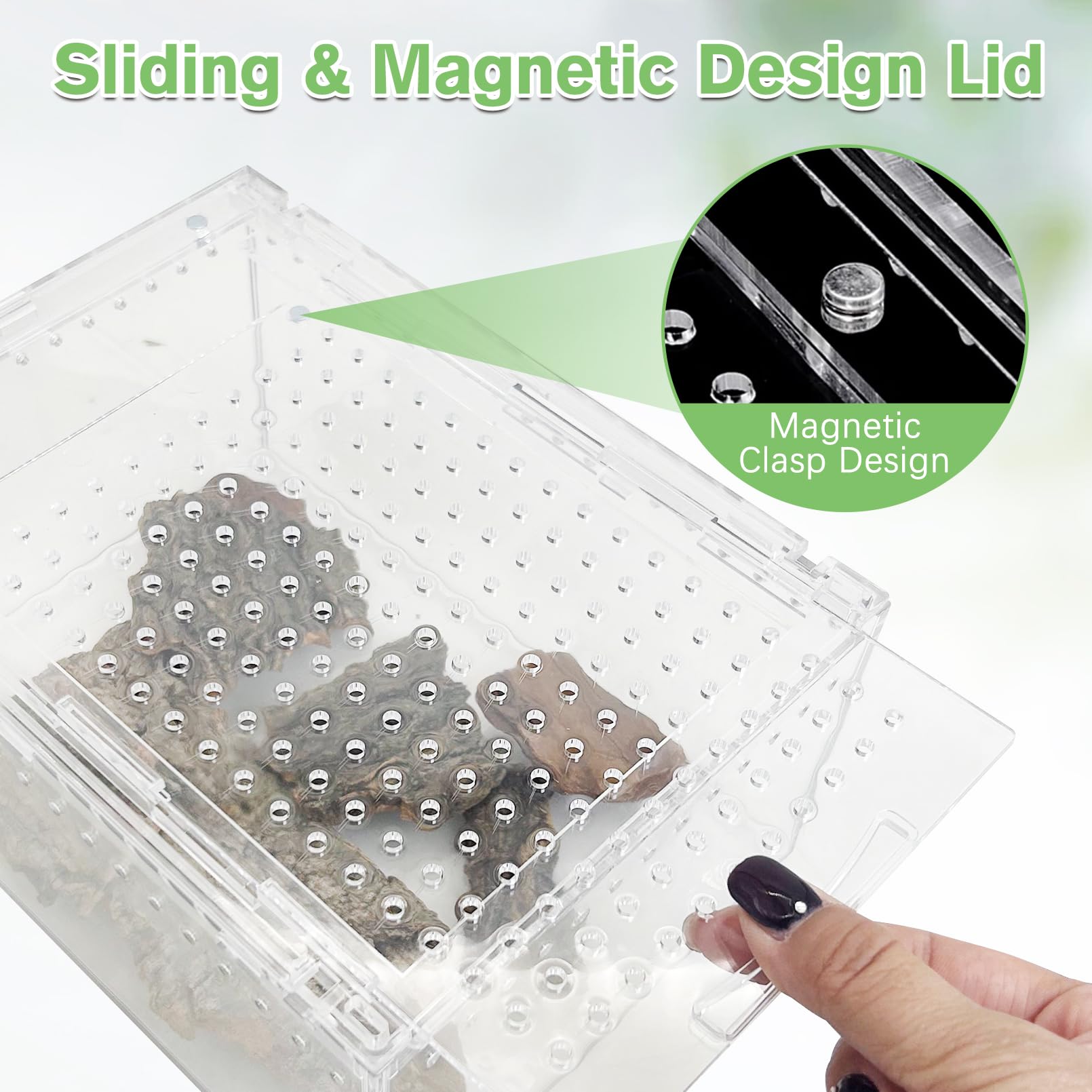 Apatal Acrylic Tarantula Enclosure Box No Assembly Reptile Terrarium 8x6x4in Transparent Sling Cage Magnetic Jumping Spiders Hab