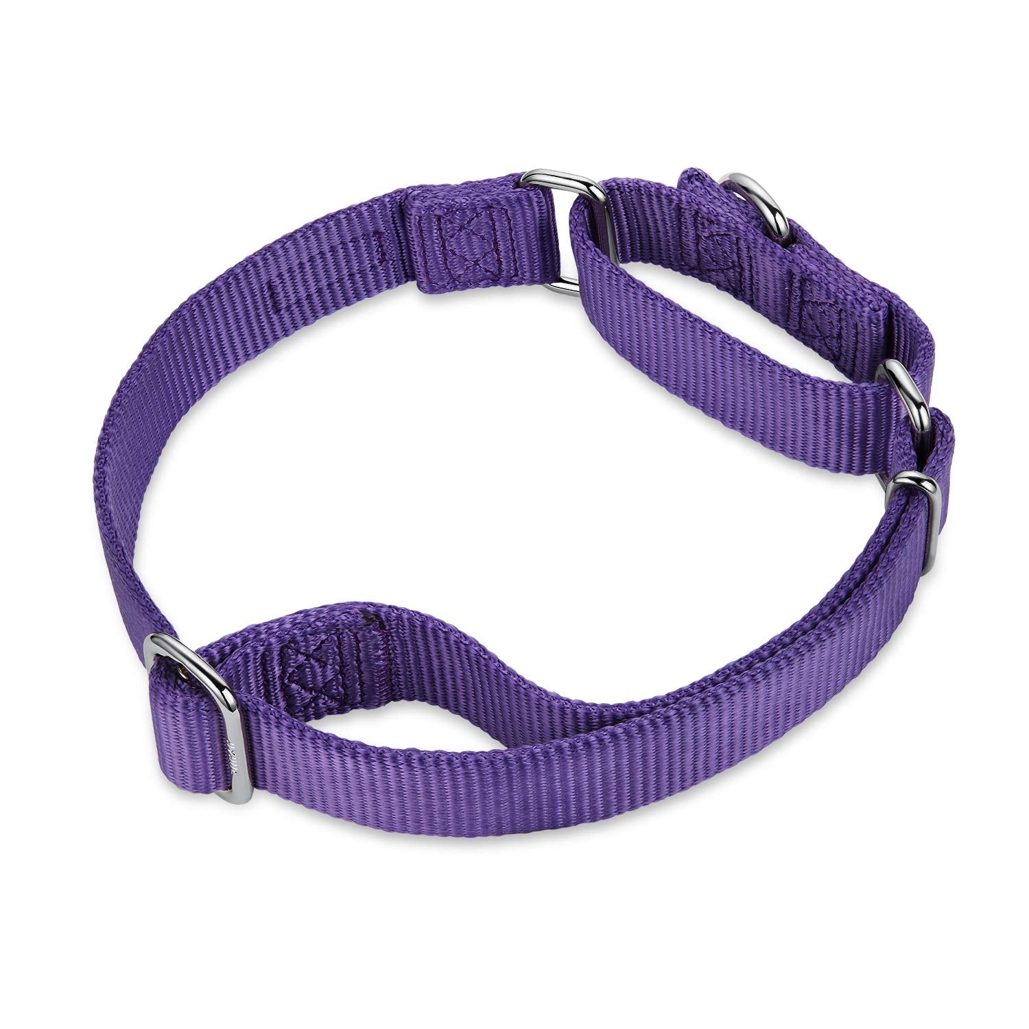 Hyhug Pets Premium Upgraded Heavy Duty Nylon Anti-Escape Martingale Collar For Boy And Girl Dogs Comfy And Safe - Professional Training, Daily Use Walking. (Medium, Ultra Violet)