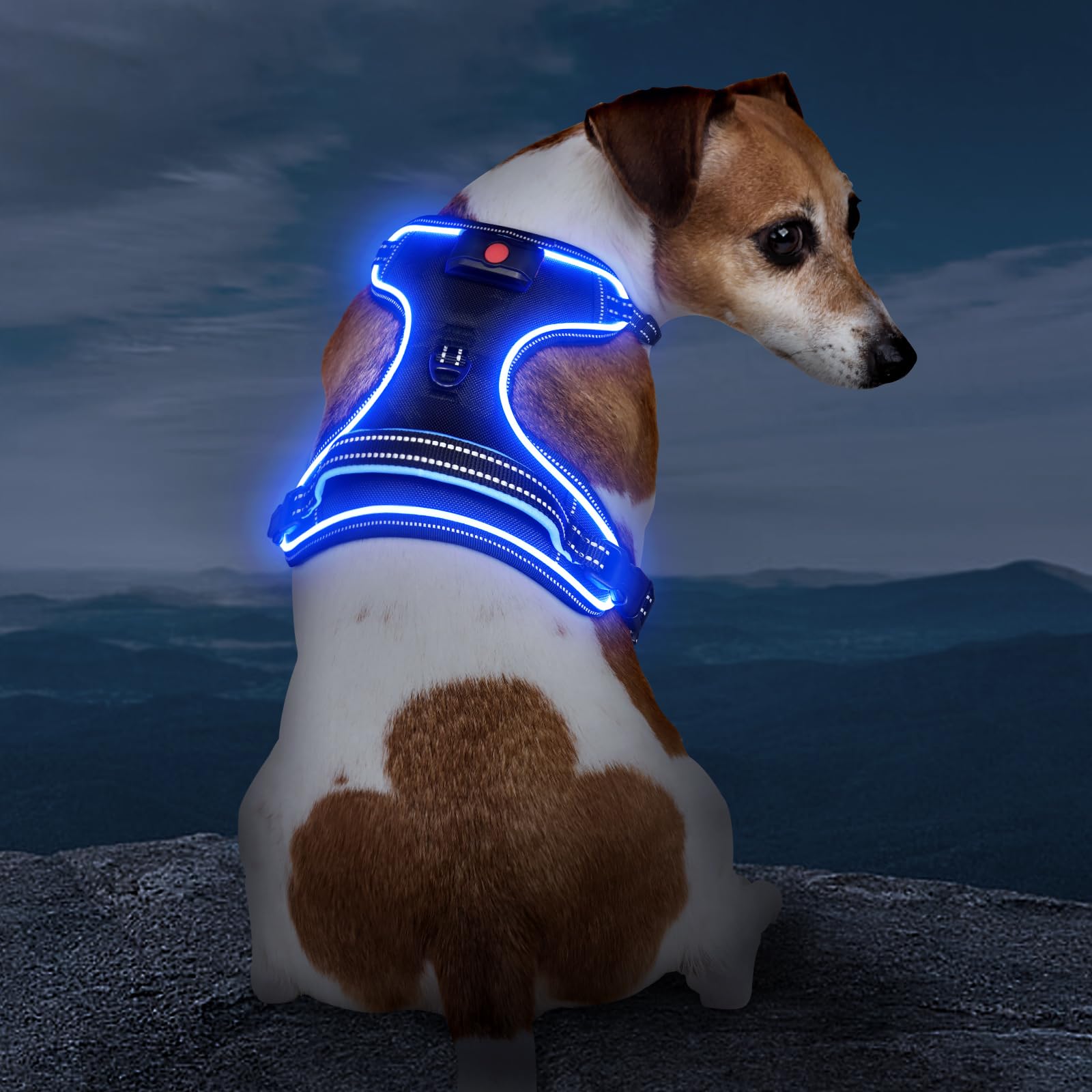 Vizbrite Rechargeable Led Dog Harness - No Pull, 4 Point Adjustable, Lighted Vest For Small/Medium/Large/X-Large Dogs