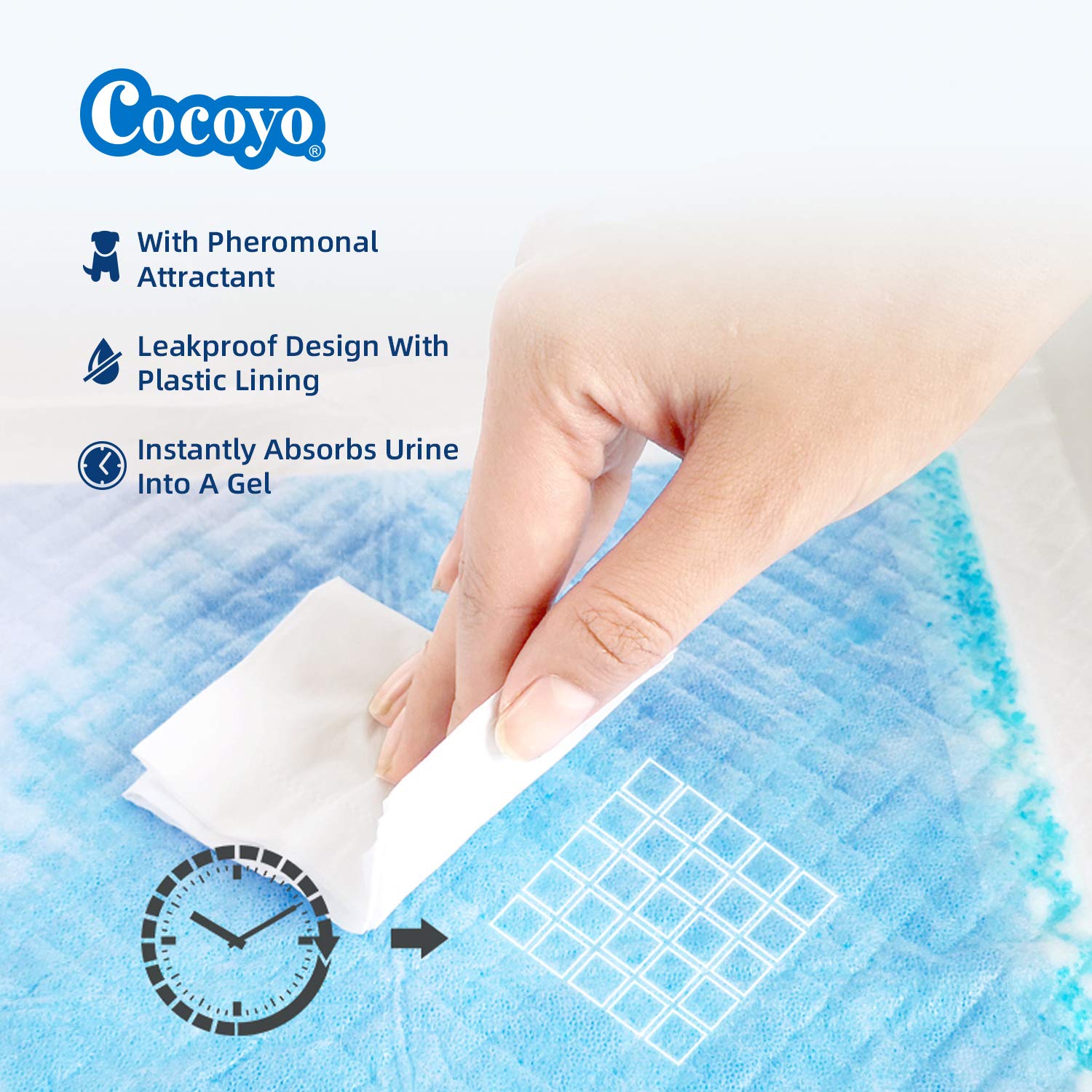 Cocoyo Best Value 22''X22'' Dog Training Pads 50 Count | Dog Pee Pads | Super Absorbent Puppy Pads