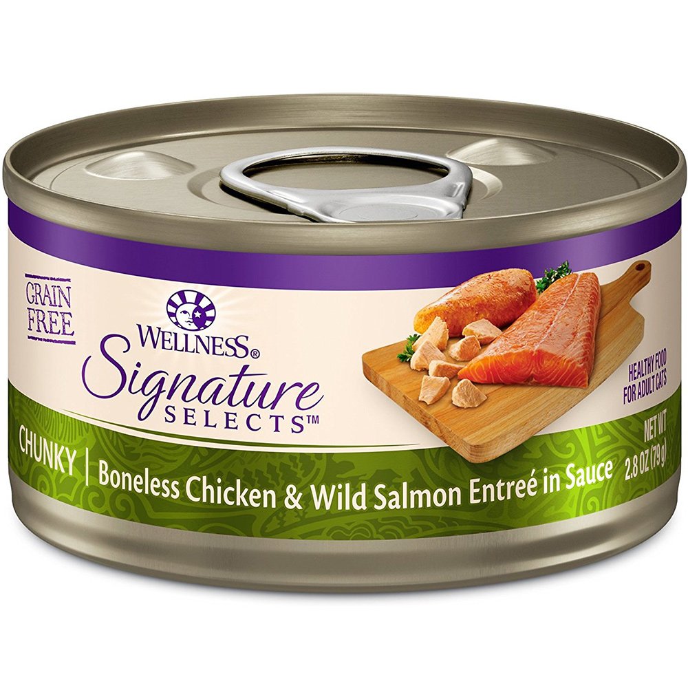 Wellness Canned Grain Free Wet Cat Food - Variety Bundle 4 Flavors Pack with Hotspot Pets Food Bowl (12 Cans) (Chicken & Beef, C
