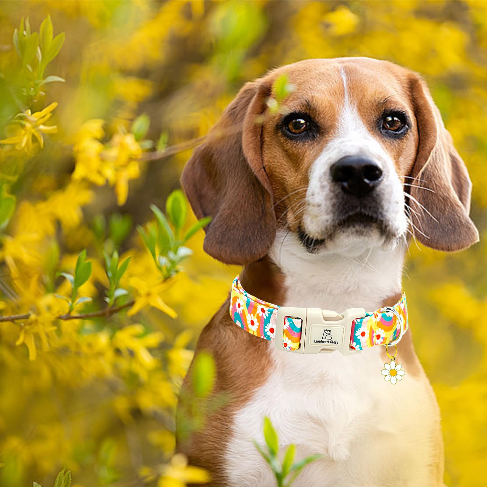 Lionheart Glory Dog Collar-Sunflower Pattern Dog Collar Cute Colorful Dog Collars Heavy Duty Adjustable Collars For Large Dogs P