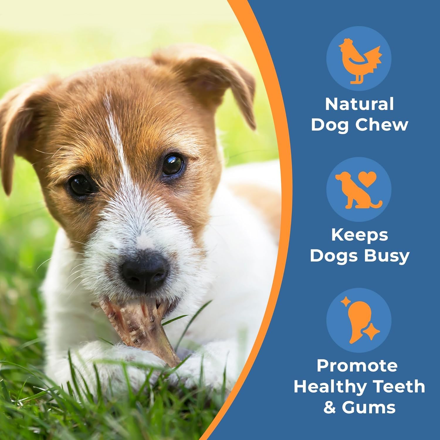 K9warehouse - Chicken Feet for Dogs - All Natural, Nutritious Dog Treat - Healthy, Dried, Dehydrated Chicken Feet Treats for Dog