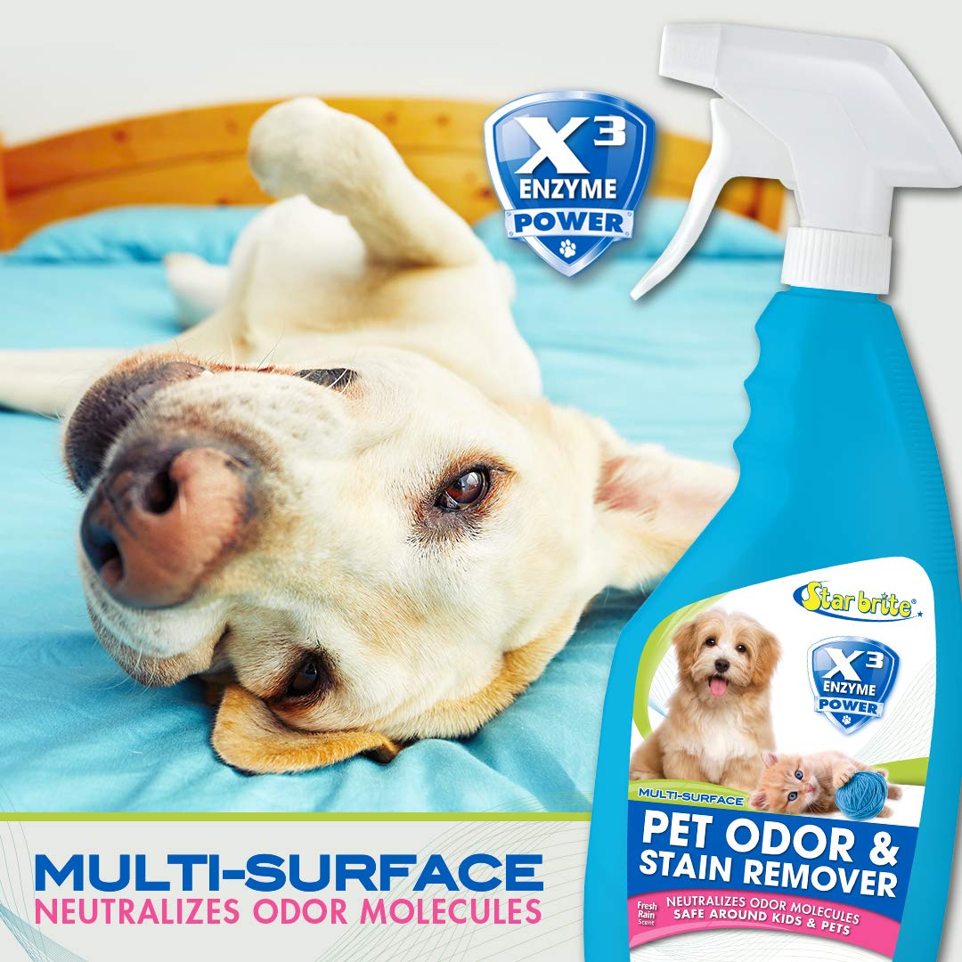 STAR BRITE Multi-Surface Pet Odor & Stain Remover Spray - Triple Enzyme Neutralizer - 22 OZ (09722)