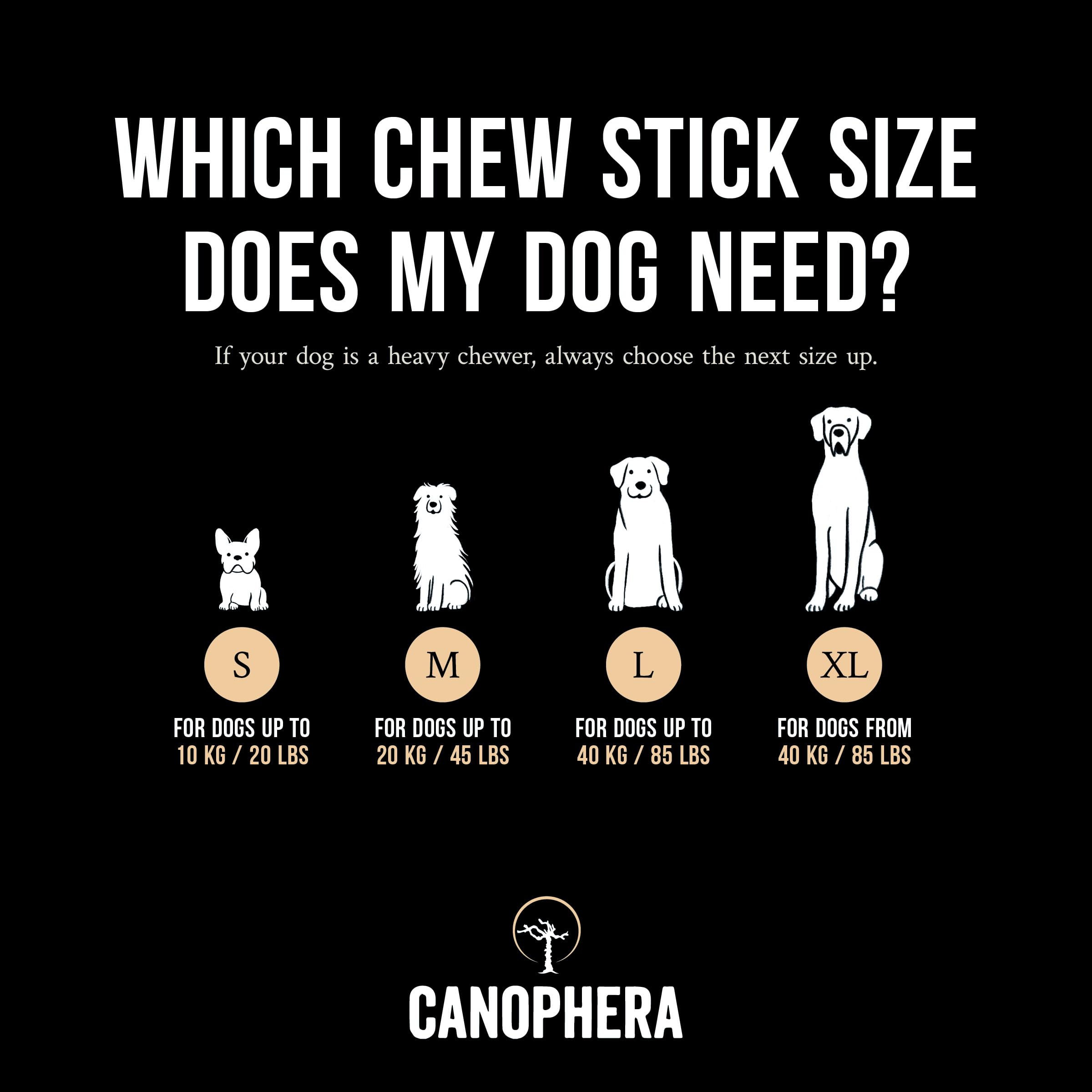 Canophera Dog Chew Made Of Coffee Wood And Coconut Rope (Medium)