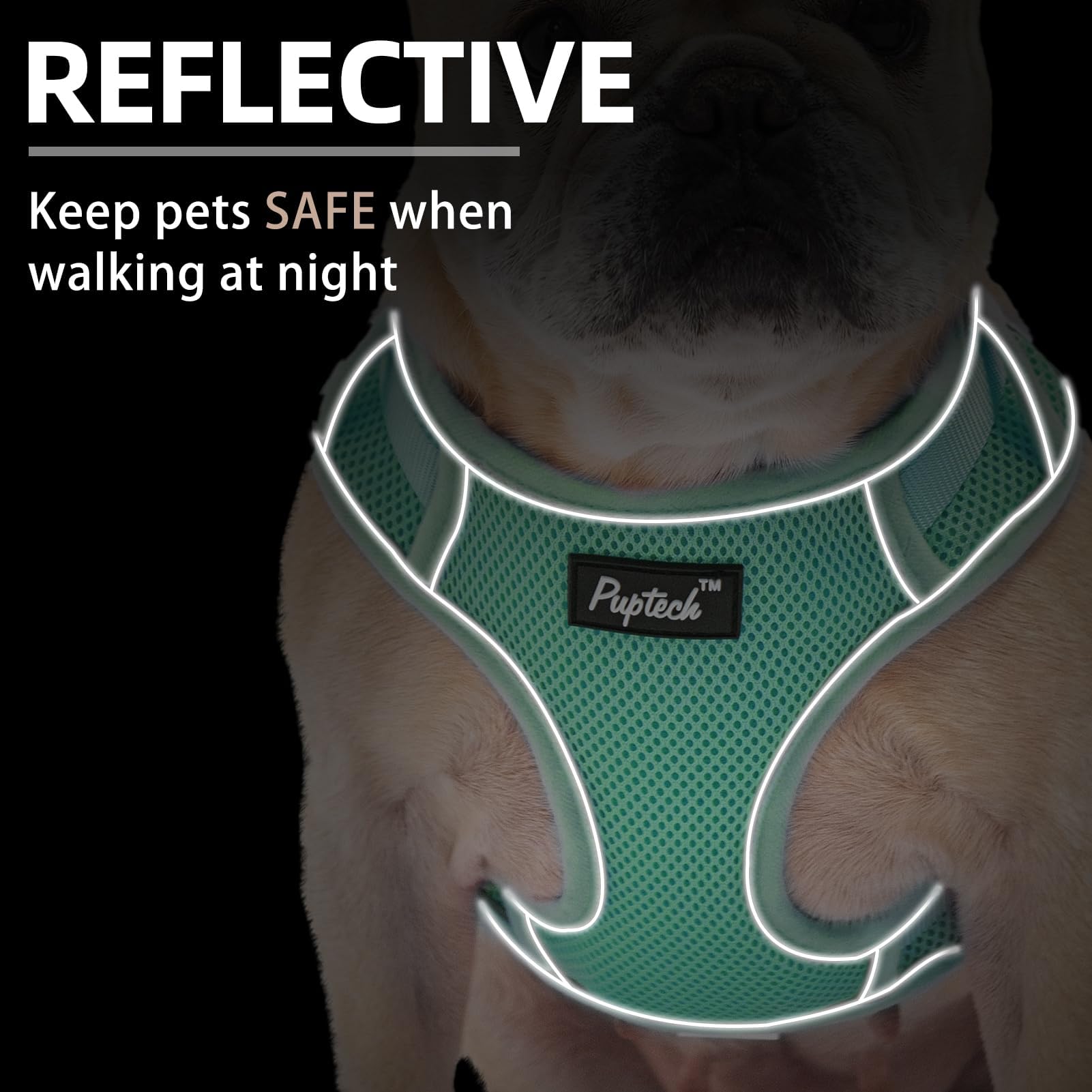 Pupteck Dog Harness And Leash Set For Small Medium Dogs No Pull, Soft Mesh Adjustable Puppy Cat Harness Reflective At Night, Gre