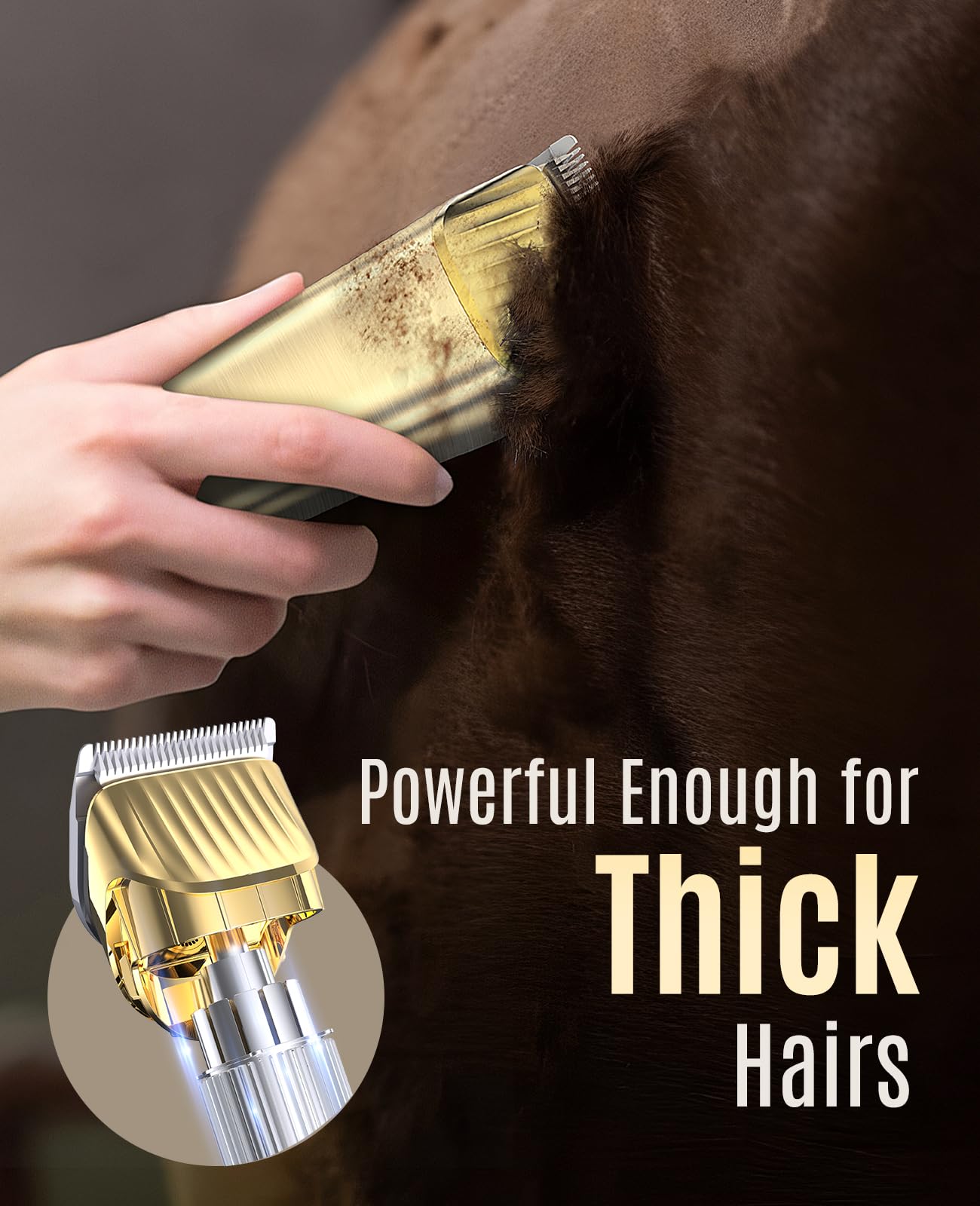 oneisall Cordless Horse Clippers Kit - Low Noise 2 Speed, 11 Piece Set, Stainless Steel, Gold, Model RK-034 G