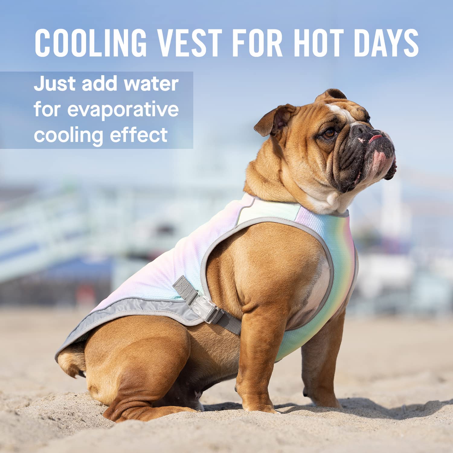 Canada Pooch Dog Cooling Vest - Evaporative Cooling Vest For Dogs With Breathable Mesh Material & Reflective Lining, Adjustable Dog Cooling Vest Great For Dogs (18 (17-19' Back Length), Rainbow)
