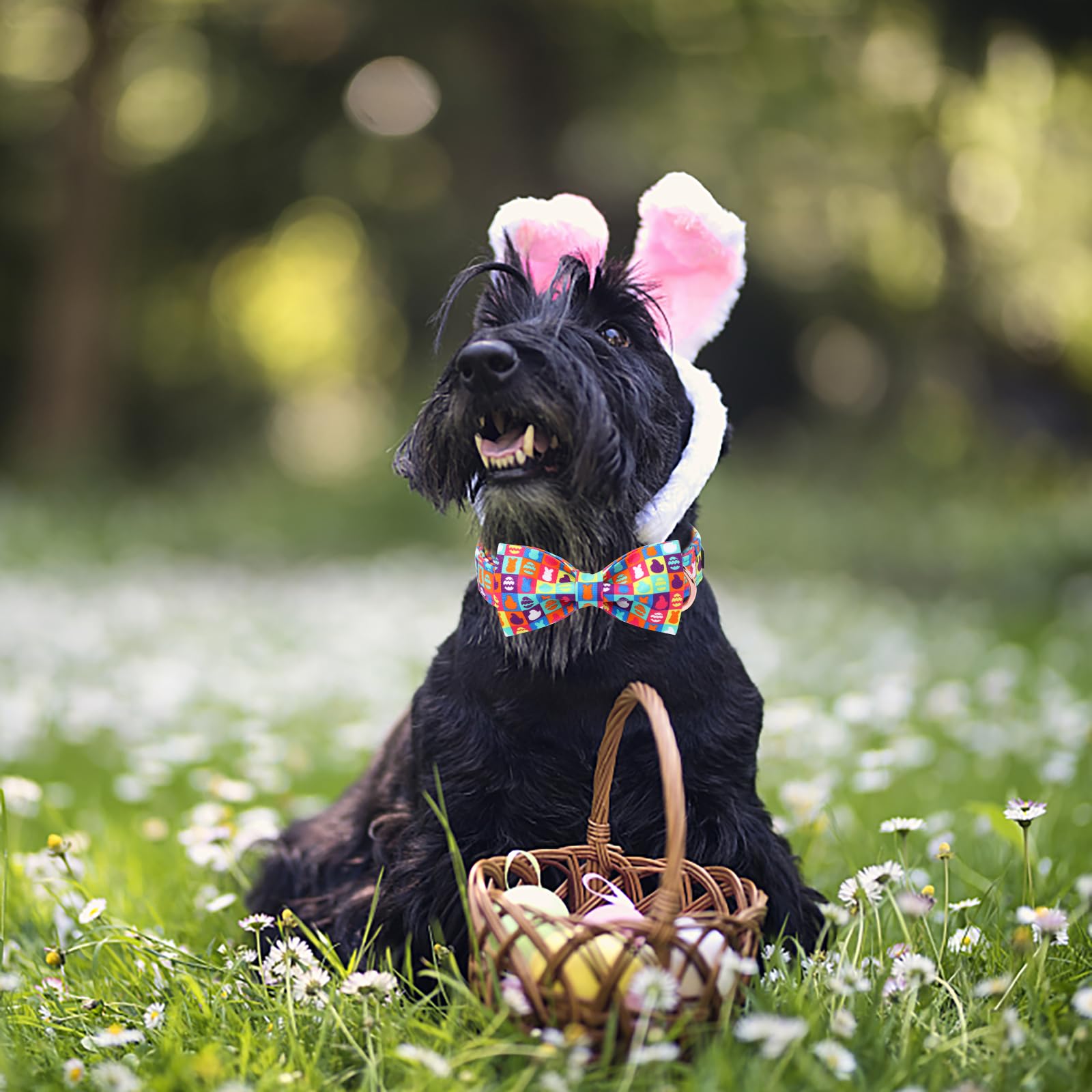 Unique Style Paws Easter Dog Collar With Bow Colorful Egg Dog Collar Bowtie Collar For Large Medium Small Dogs