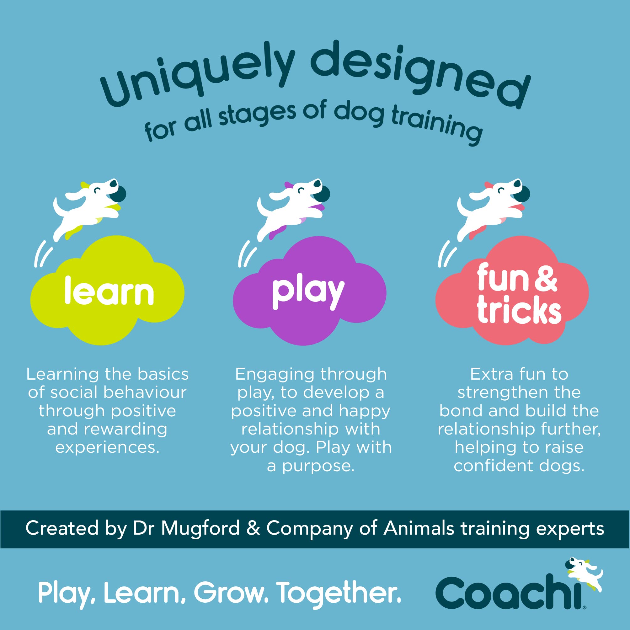 Coachi Training Line 5M, Safe Training Outdoors, Recall Training, Dog & Puppy Socialization, Lightweight, Soft To Hold, Suitable