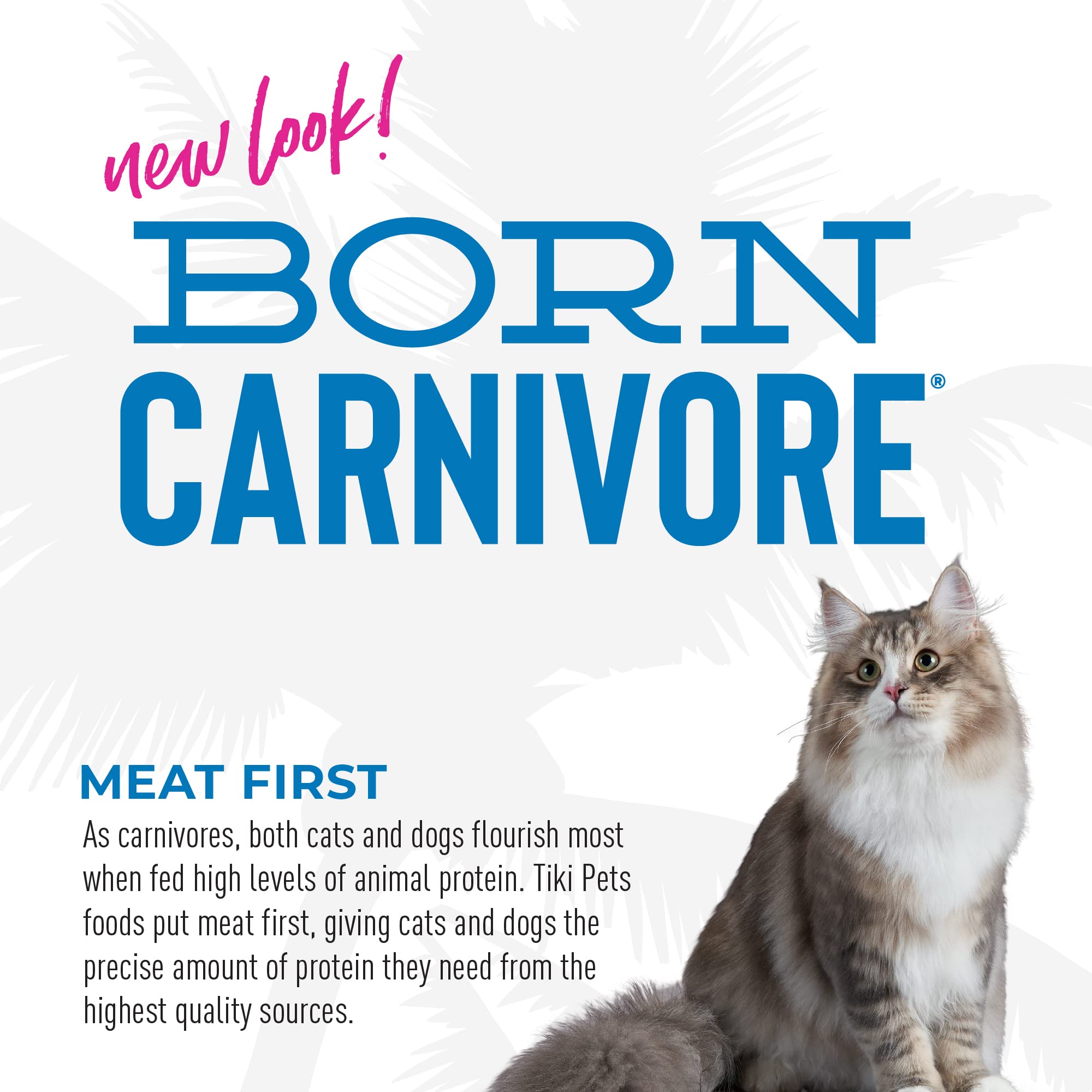 Tiki Cat Born Carnivore High Protein, Herring & Salmon Meal, Grain-Free Baked Kibble to Maximize Nutrients, Dry Cat Food, 5.6 lb