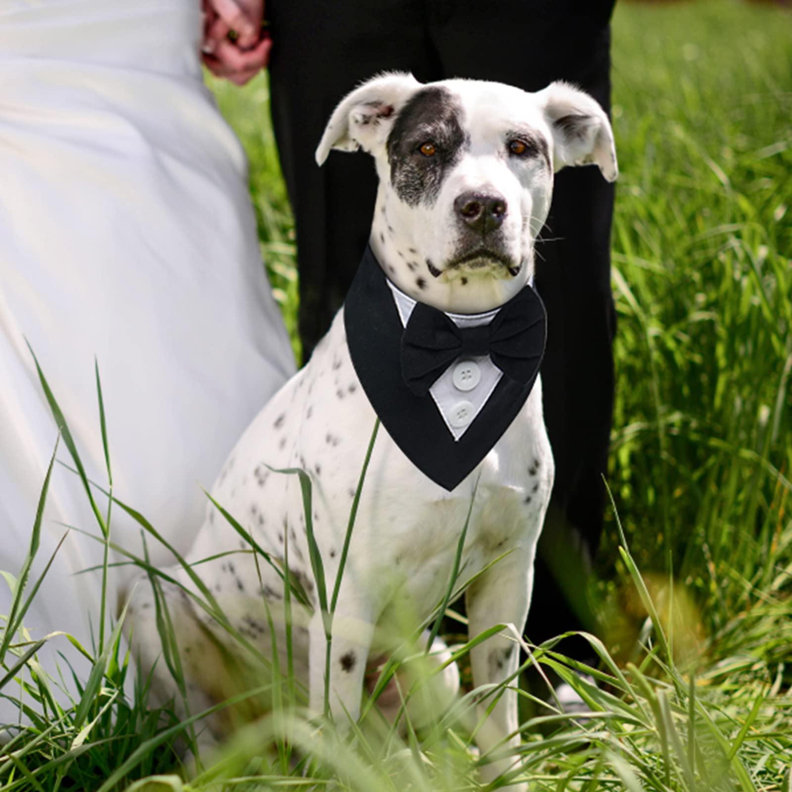 Fuamey Dog Tuxedo,Formal Dog Wedding Bandana Dog Collar With Bow Tie Dog Birthday Costume Adjustable Pet Party Tux Dog Wedding Attire,Dog Valentines Outfit Cosplay For Small Medium Large Pets Grey L