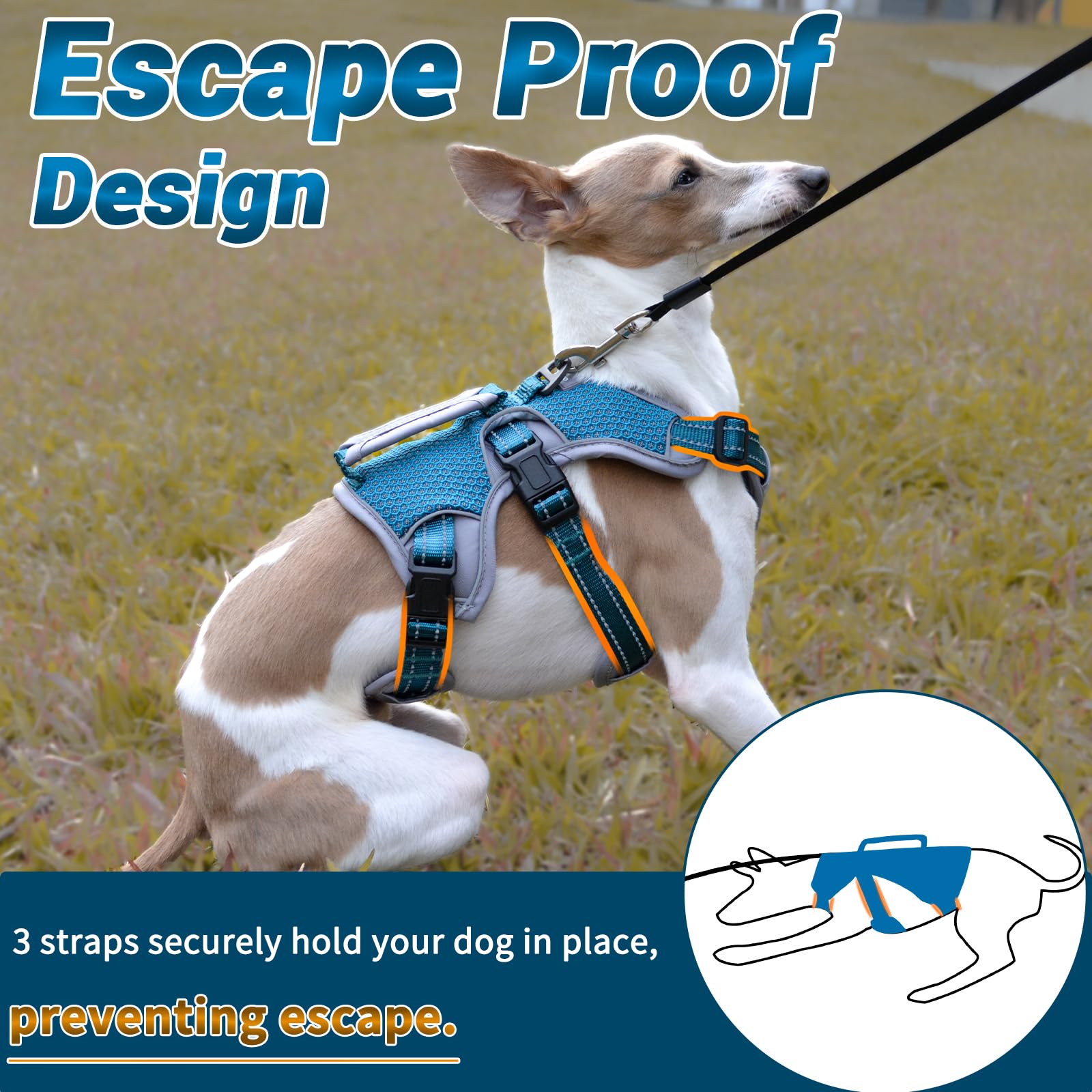 Belpro Multi-Use Support Dog Harness, Escape Proof No Pull Reflective Adjustable Vest With Durable Handle, Dog Walking Harness For Big/Active Dogs (Blue, S)