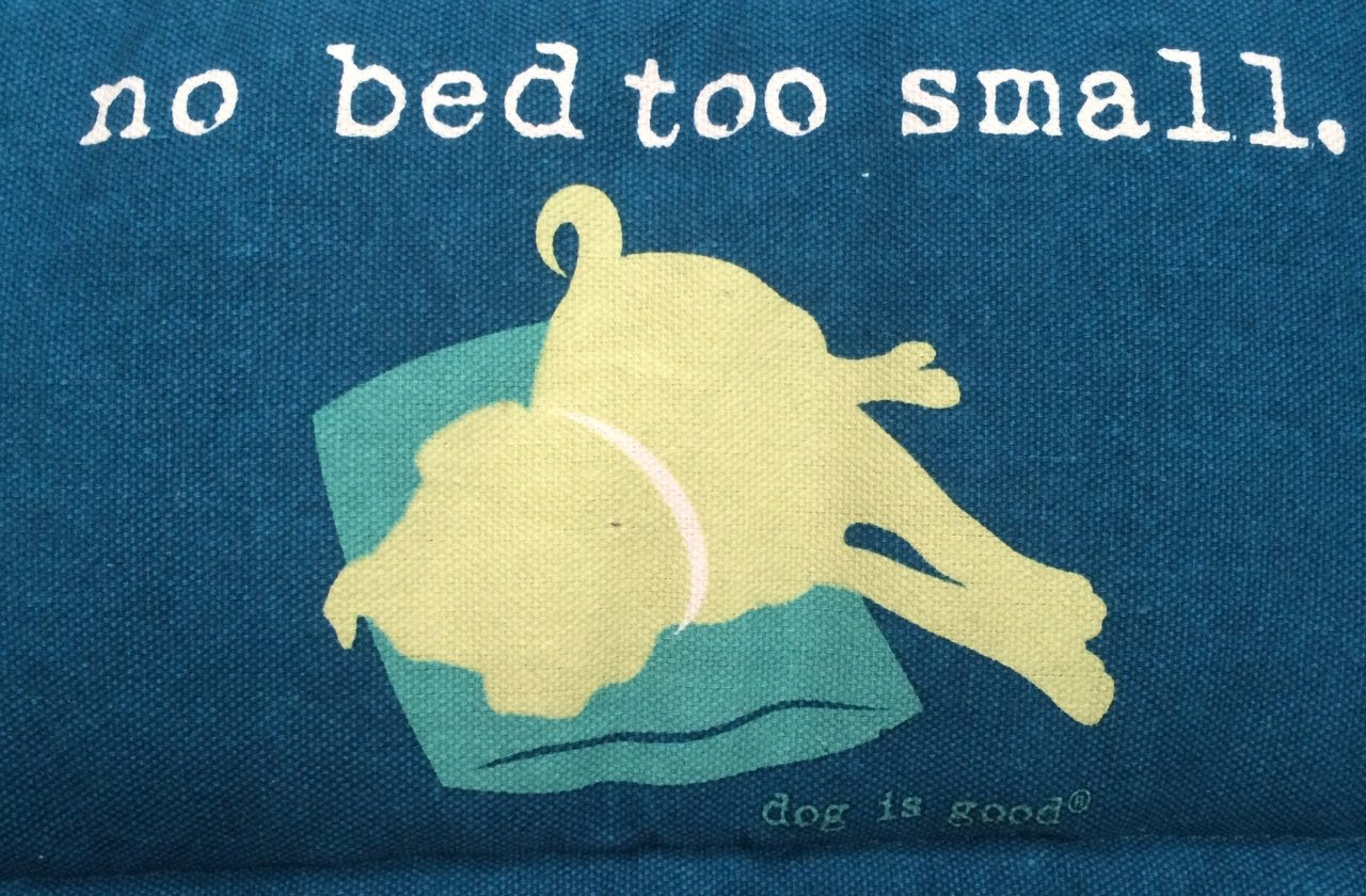 Dog Is Good No Bed To Small Mat, 18-Inch, Blue