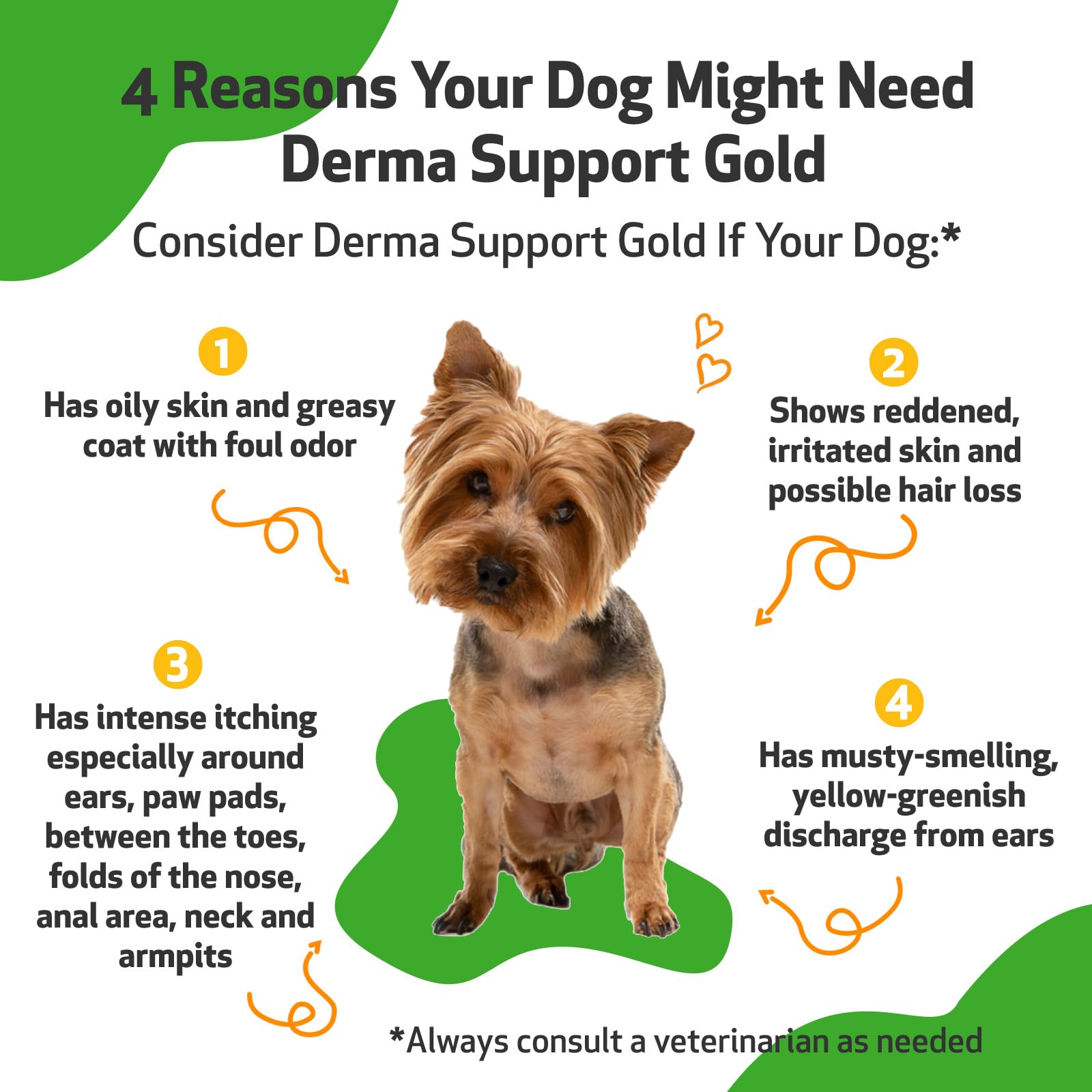 Pet Wellbeing Derma Support Gold for Dogs - Herbal Supplement for Normal Skin & Yeast Balance, 2 fl oz (59 ml), Veterinarian-Formulated