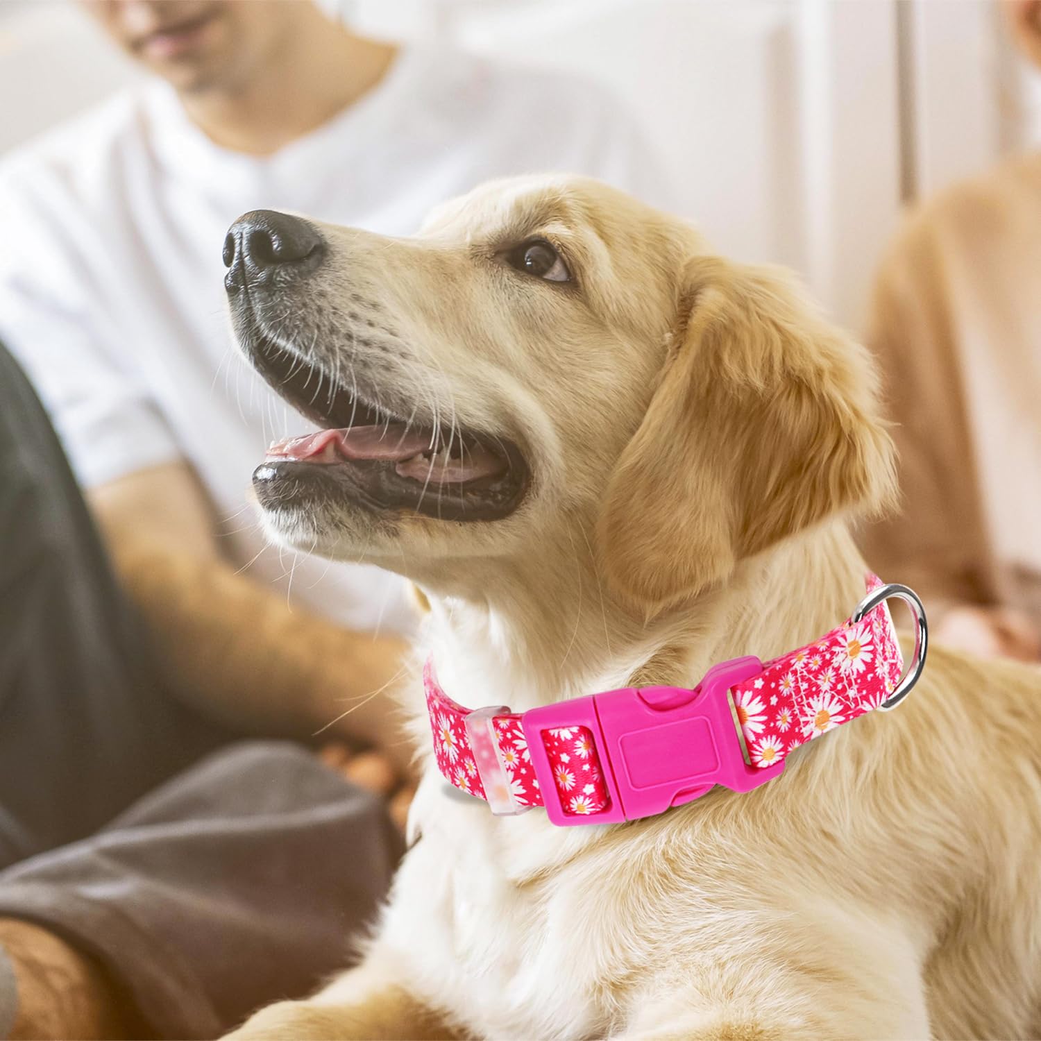 Pink Dog Collars For Small Dogs, Cute Girl Hot Pink Daisy Dog Collar, Adjustable Nylon Comfy Soft Pet Collar With Quick-Release