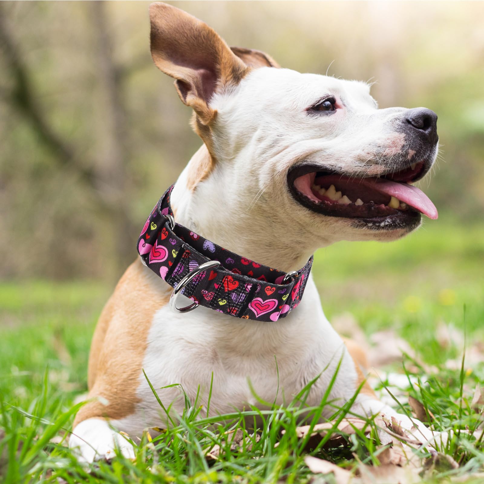 Valentine'S Day 1.5 Inch Wide Martingale Dog Collar, Cute Loving Heart Collar For Medium Large Extra Large Dogs -Heart L